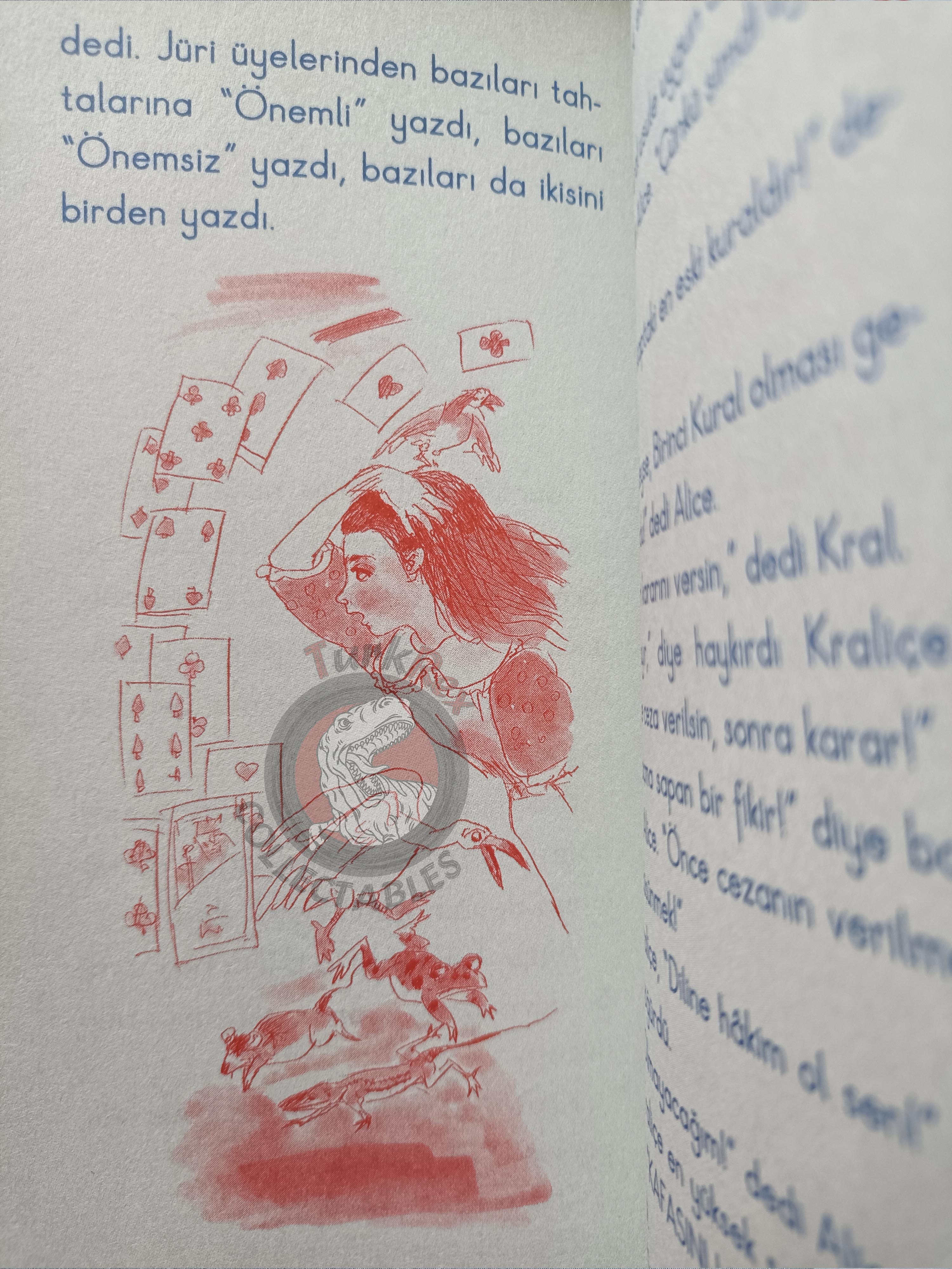 Lewis Carroll – Alice in Wonderland 2010 Turkish Book Turkey Illustrated 3