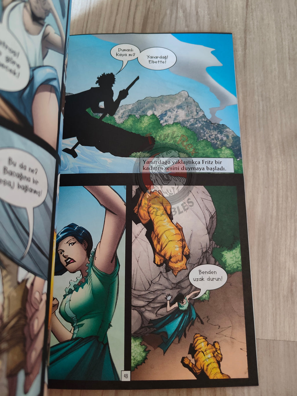 The Swiss Family Robinson – Johann David Wyss Turkish Comic Turkey Stone Arch Books