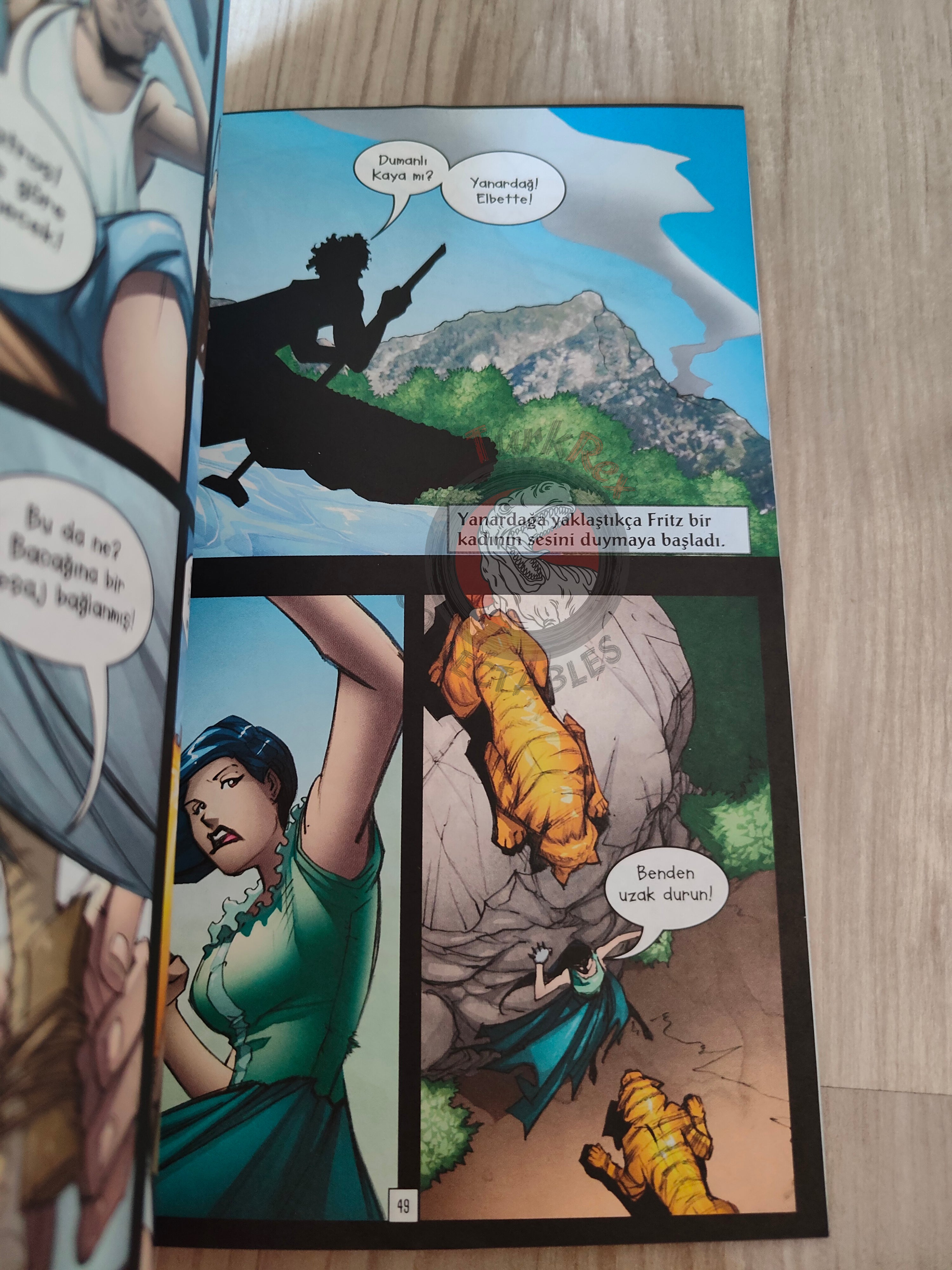 The Swiss Family Robinson – Johann David Wyss Turkish Comic Turkey Stone Arch Books