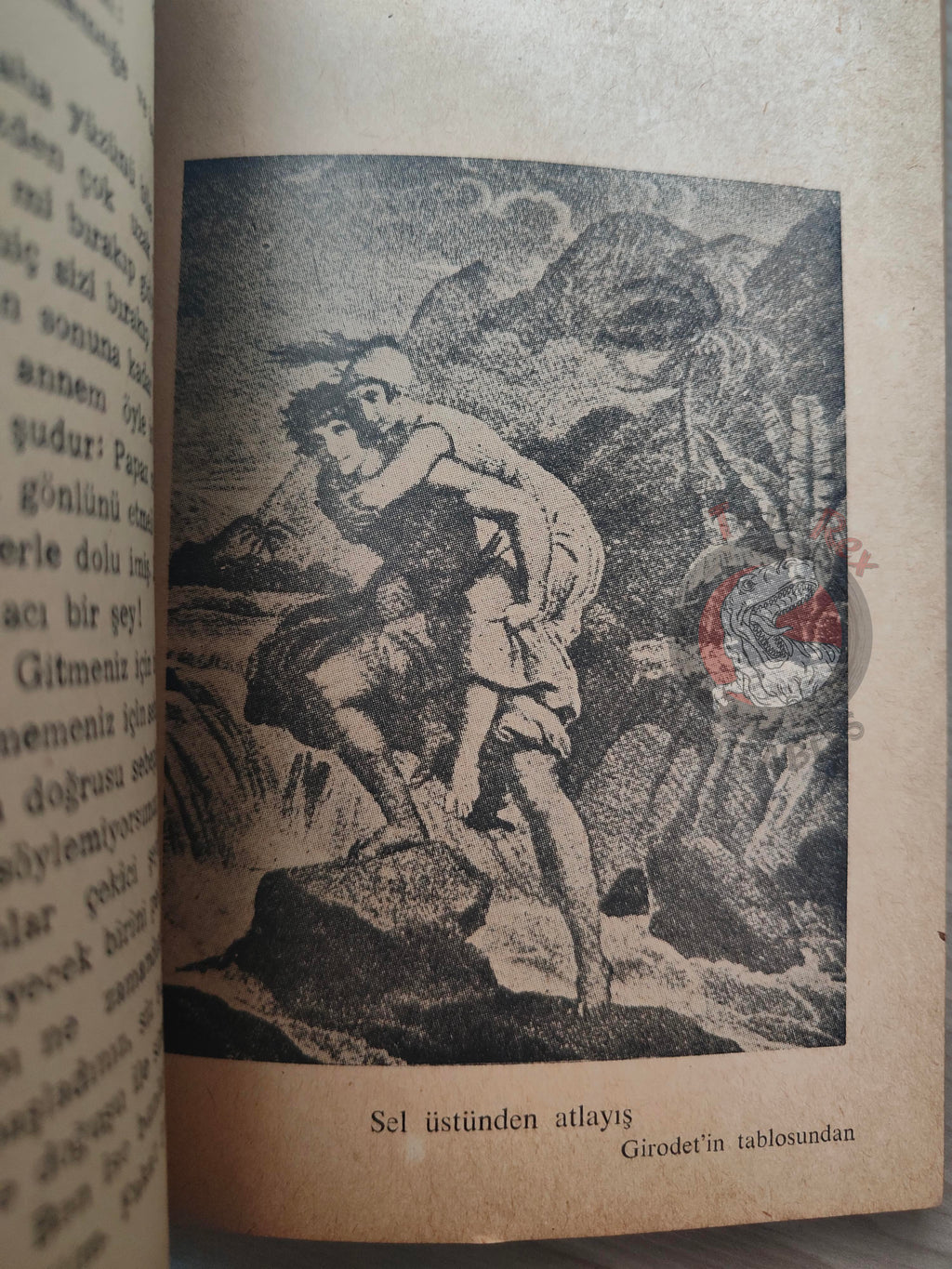 Bernardin de Saint-Pierre – Paul et Virginie 1940s Turkish Book Turkey Illustrated Tony Johannot