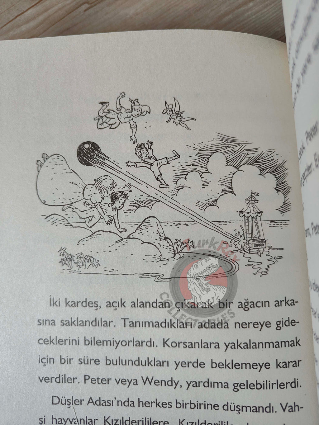 J. M. Barrie – Peter Pan 2011 Turkish Book Turkey Illustrated 4