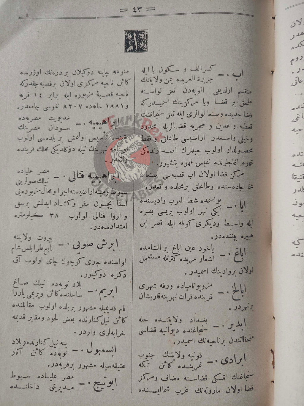 Ali Cevat – Geographical Dictionary of the Ottoman Empire 1894 Book 1 Maps Geography