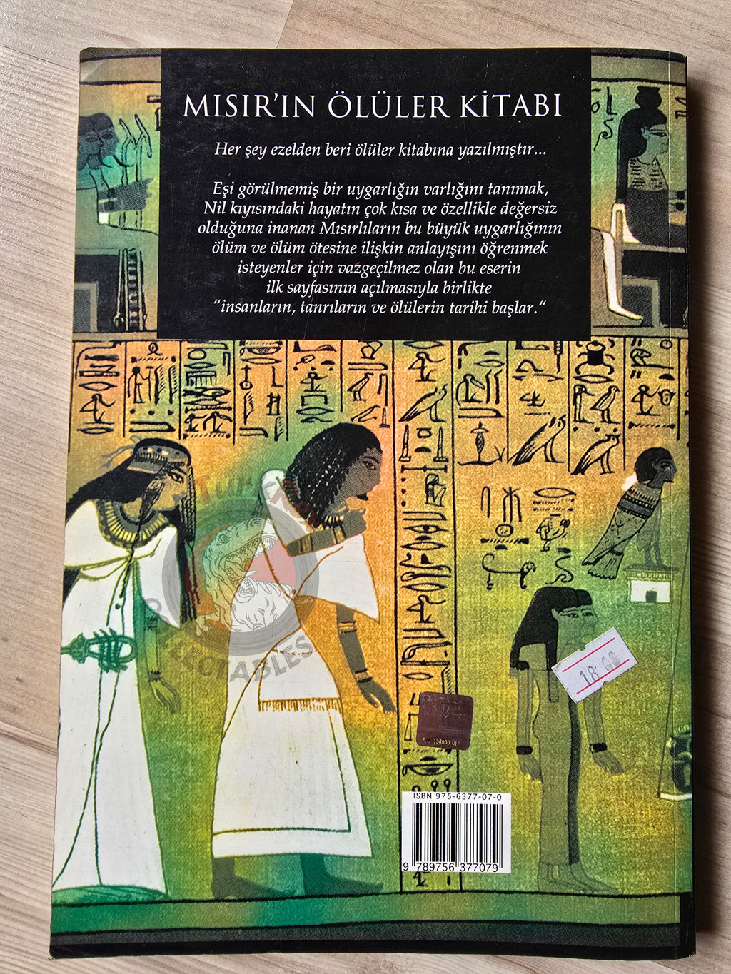 The Book of the Dead 2006 Turkish Book Turkey Albert Champdor Ancient Egypt