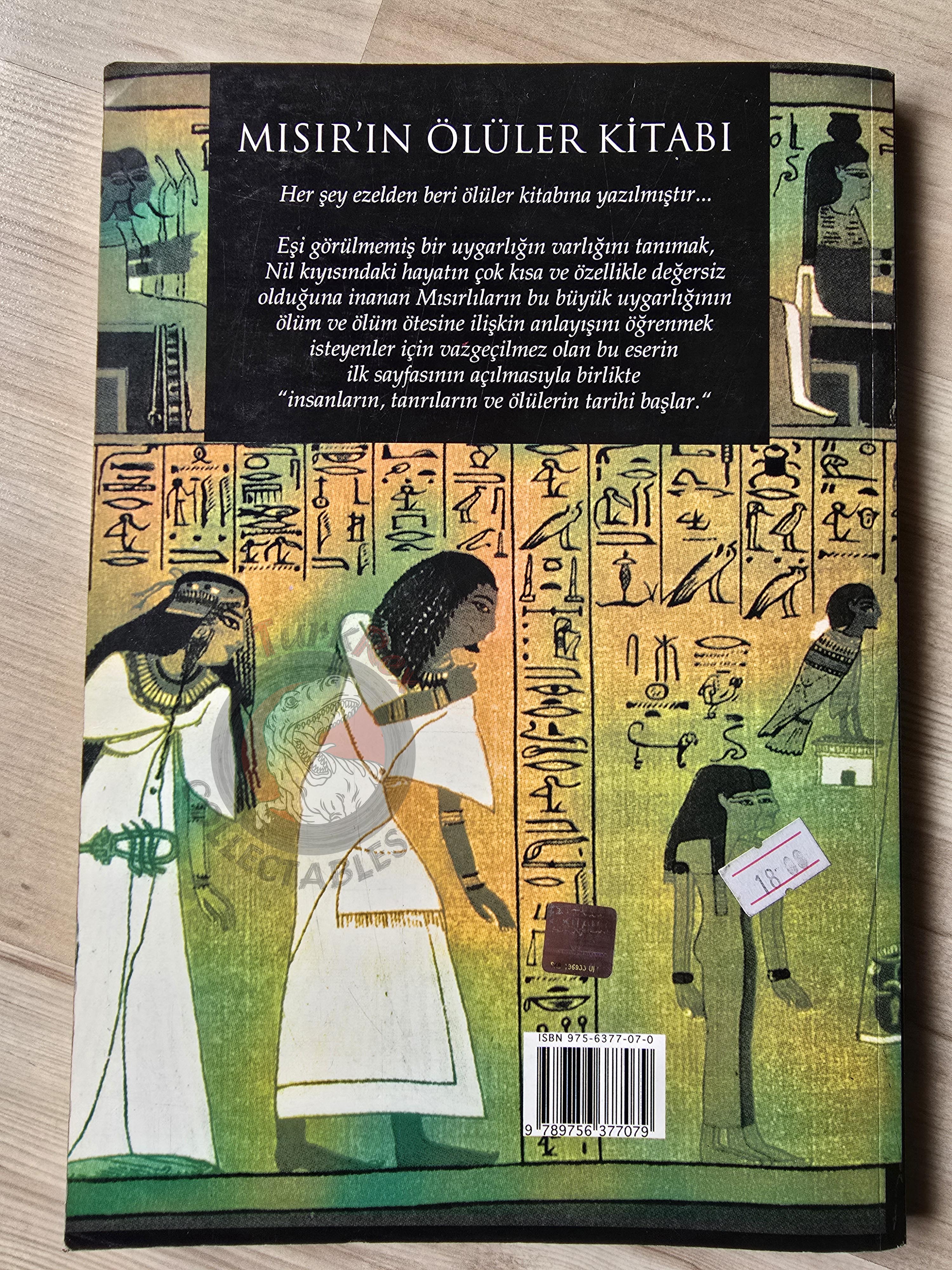 The Book of the Dead 2006 Turkish Book Turkey Albert Champdor Ancient Egypt