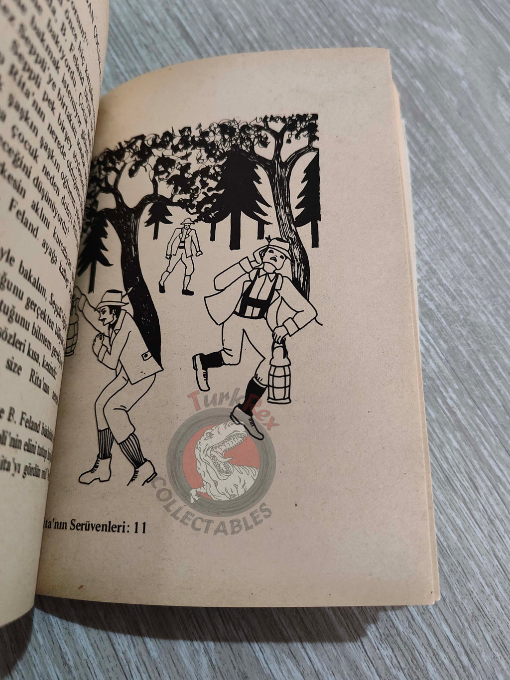 Johanna Spyri – Little Miss Grasshopper 1970s Turkish Book Turkey Illustrated