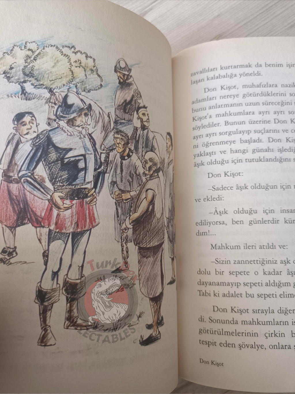 Miguel de Cervantes – Don Quixote 2003 Turkish Book Turkey Illustrated