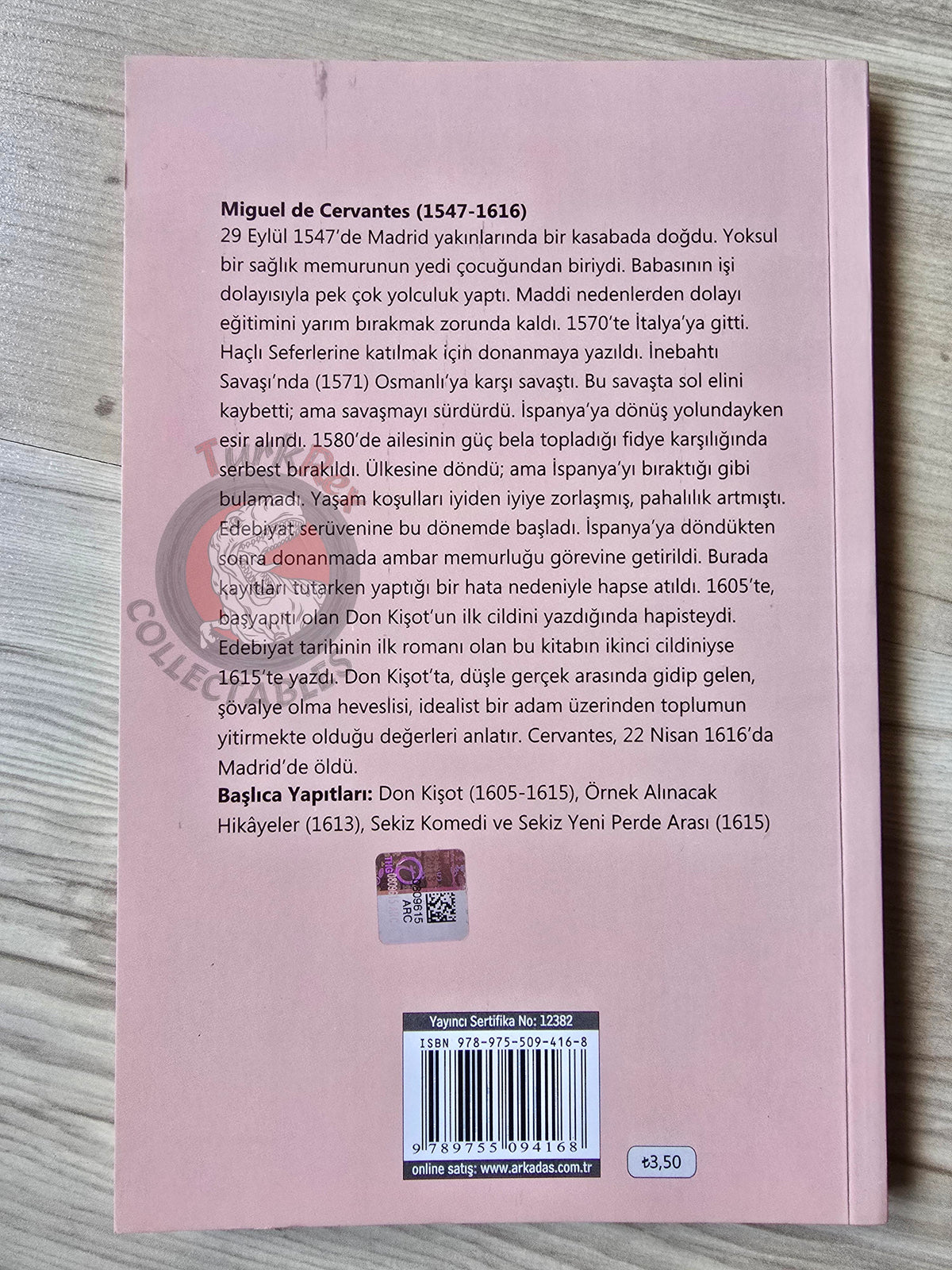 Miguel de Cervantes – Don Quixote 2013 Turkish Book Turkey Illustrated