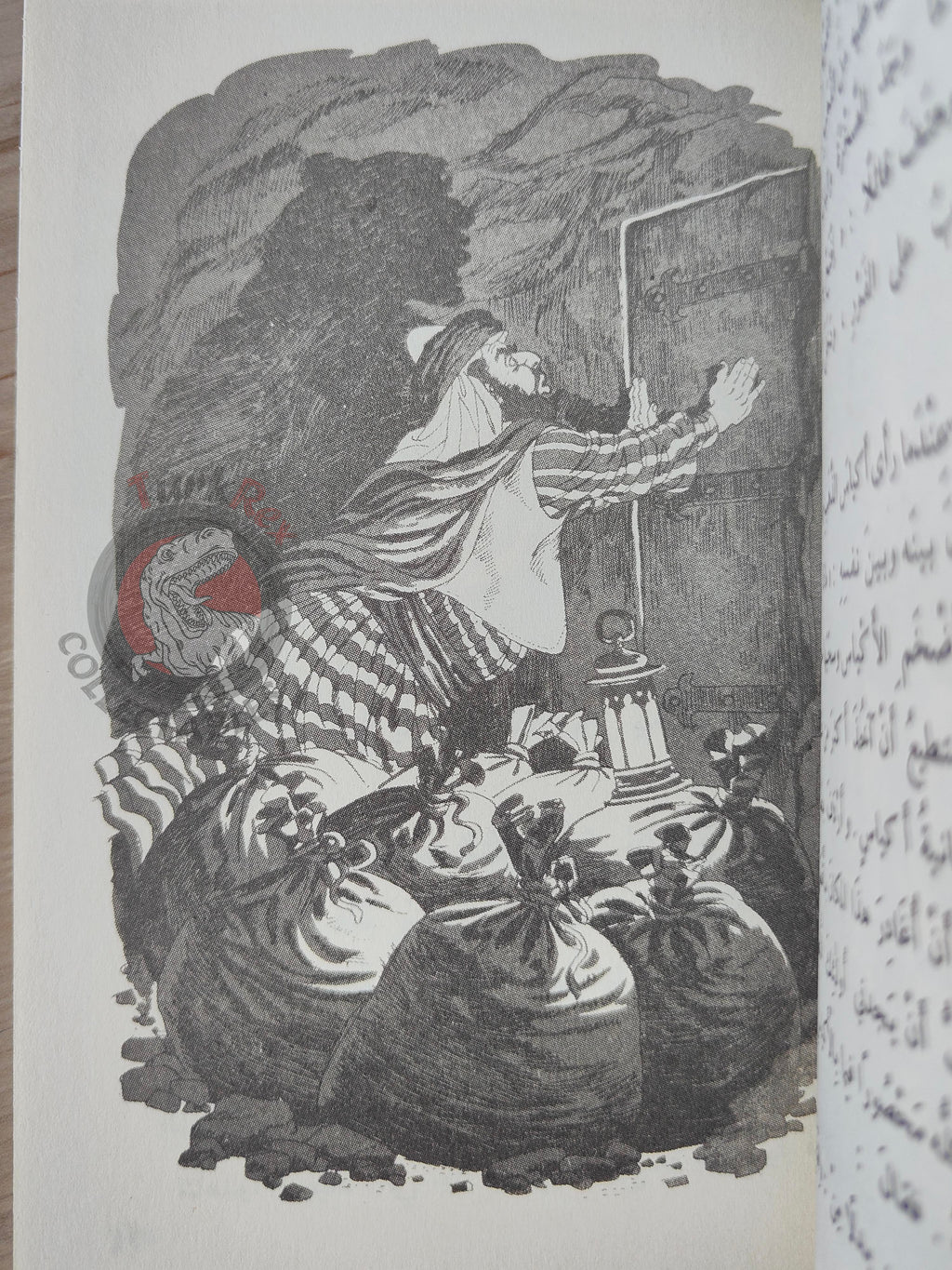 Ali Baba and the Forty Thieves 2000s Arabic Book Turkey 1001 Nights Illustrated