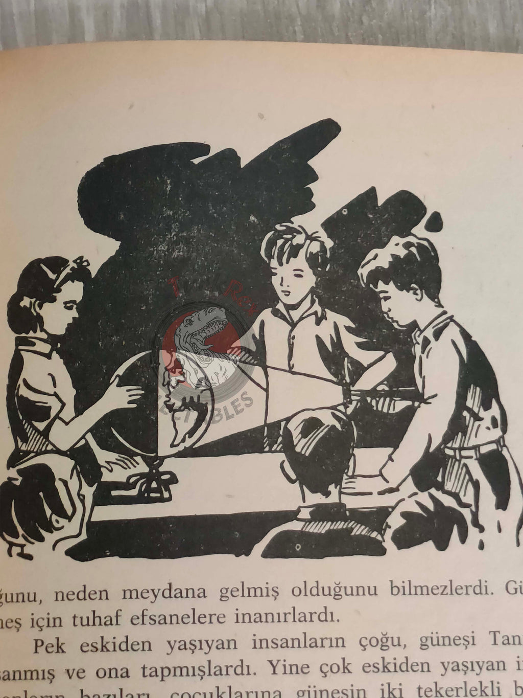 Bertha Morris Parker – Basic Science Education Series 1969 Turkish Book Turkey Sound Sun