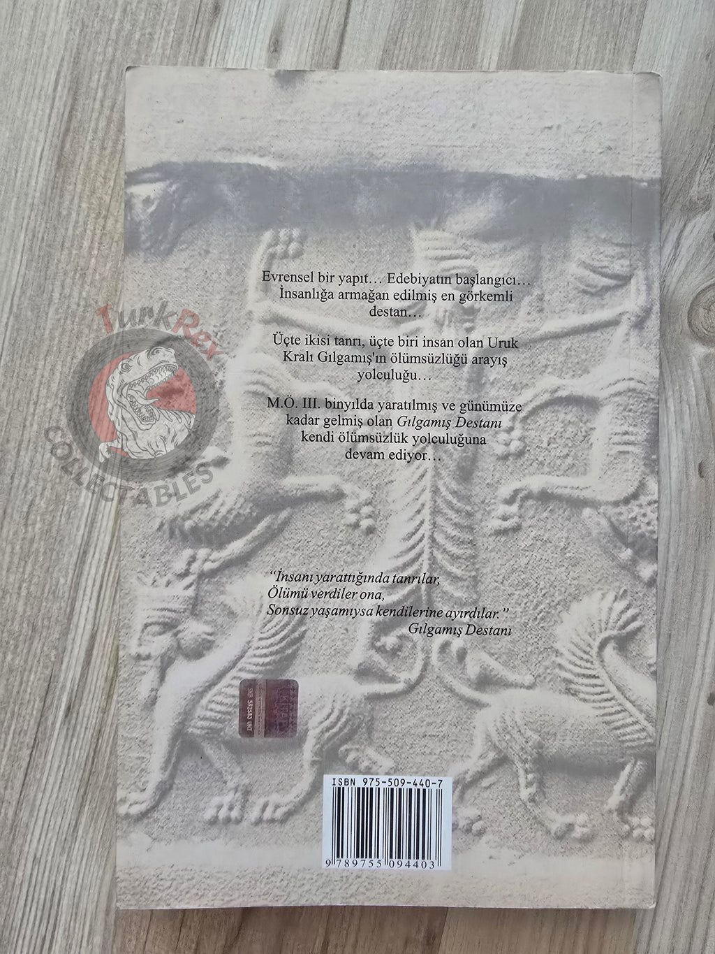 Danny P. Jackson – The Epic of Gilgamesh 2005 Turkish Book Turkey