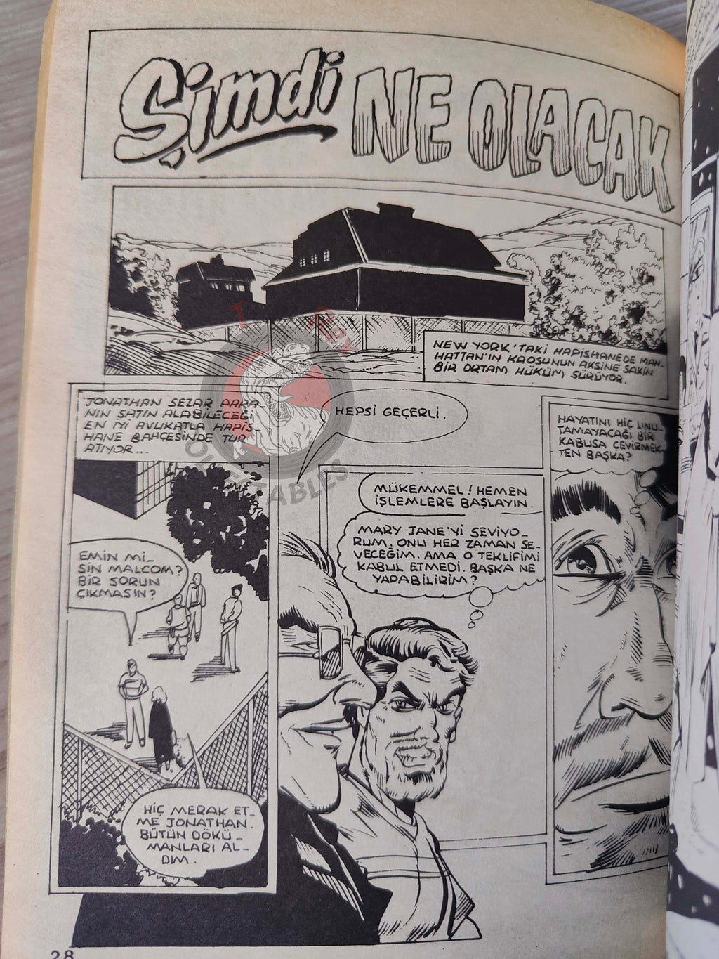Spider-Man Vol #83 Turkish Comic Turkey Amazing #313 Spectacular #152 #149 Web of #53