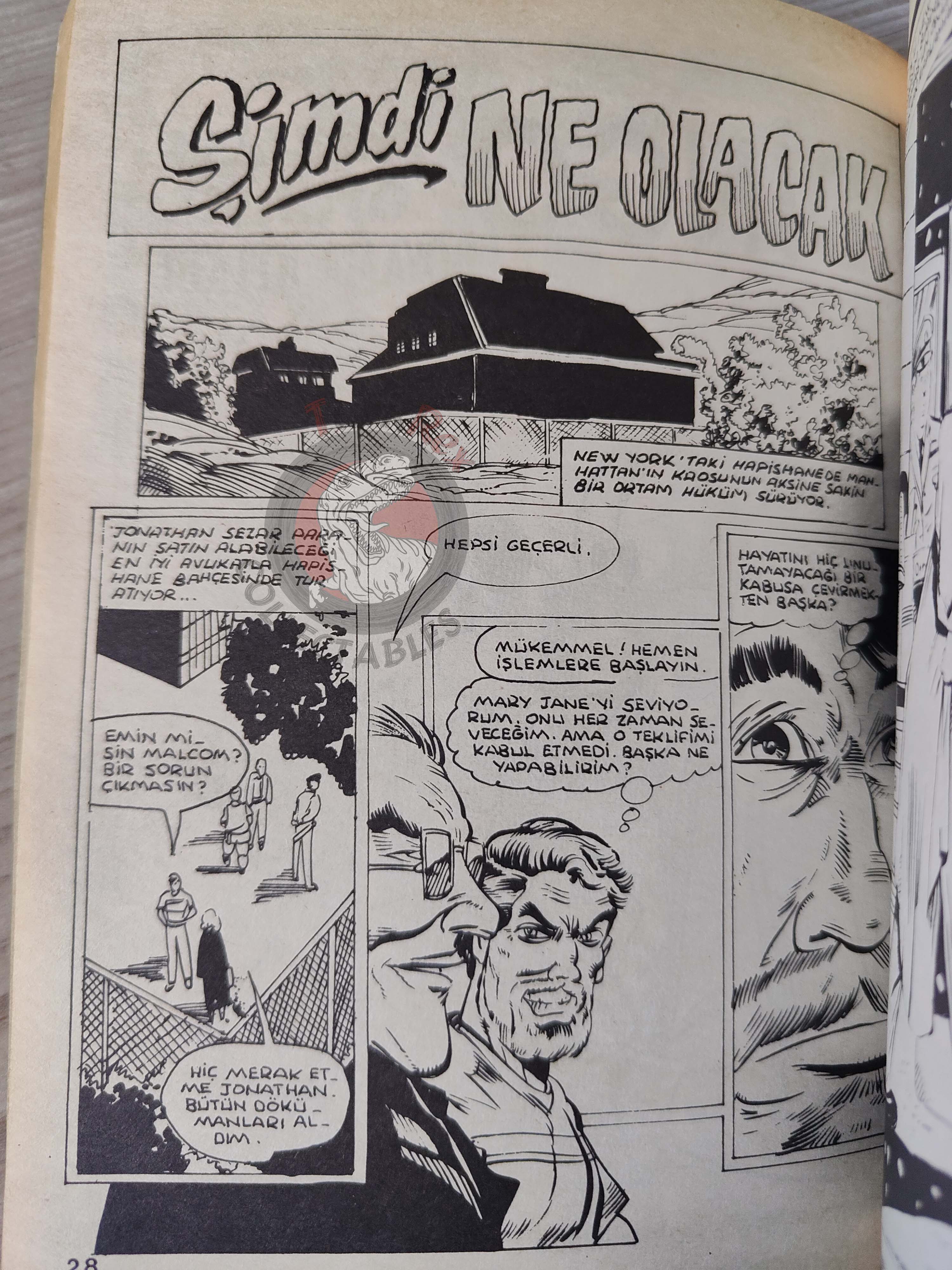Spider-Man Vol #83 Turkish Comic Turkey Amazing #313 Spectacular #152 #149 Web of #53