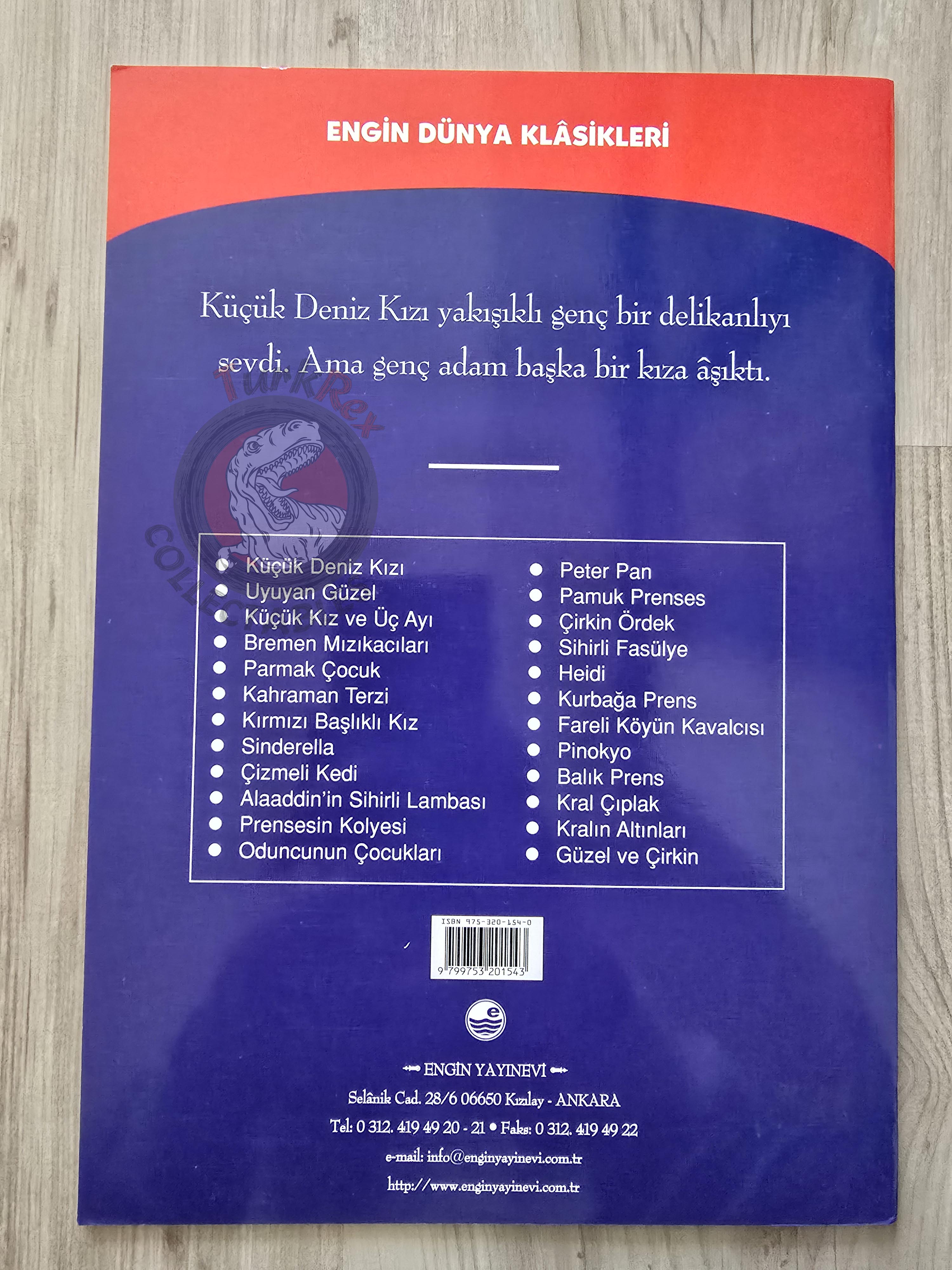 Hans Christian Andersen – The Little Mermaid 2000s Turkish Book Turkey Illustrated