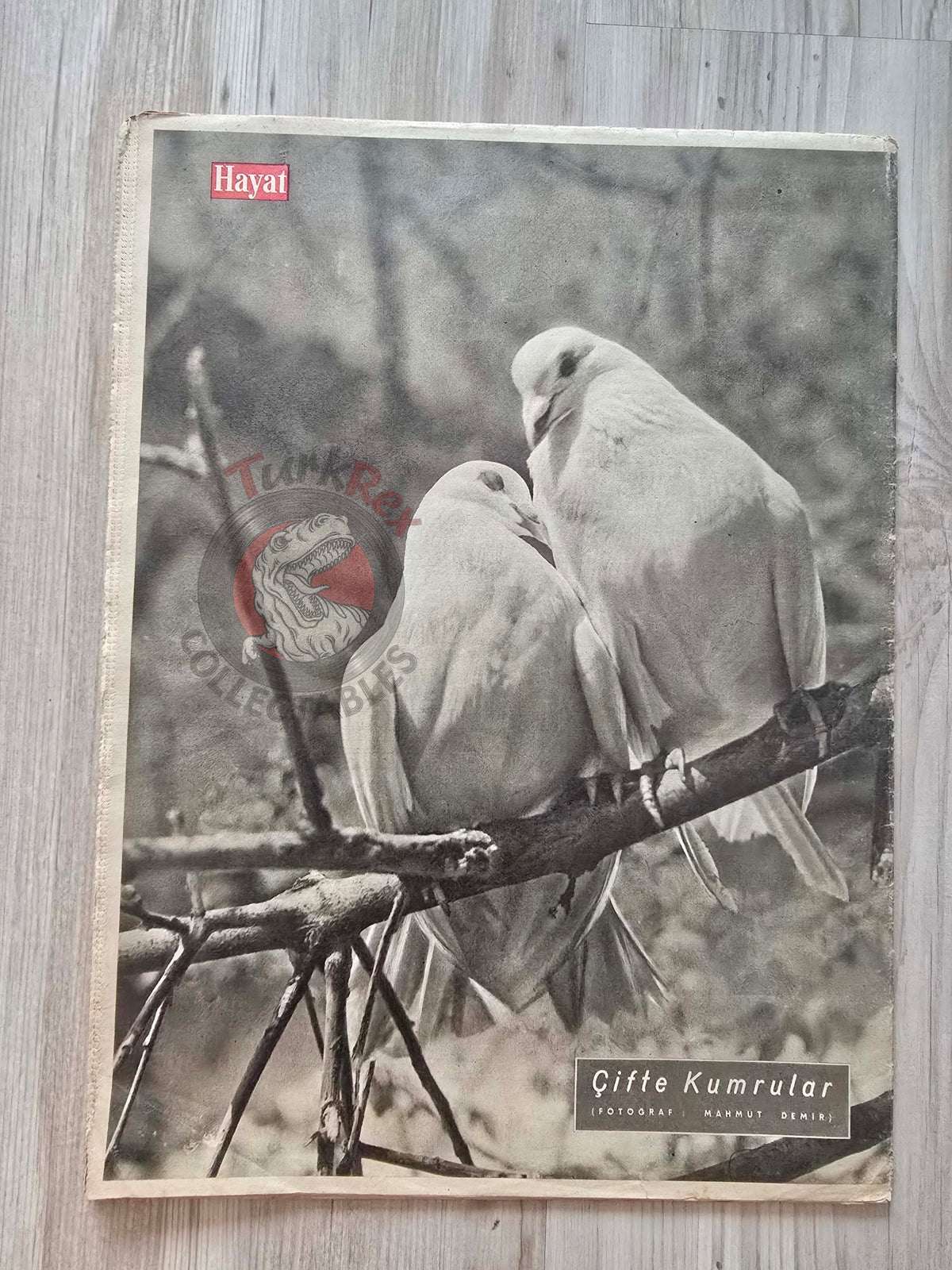 Hayat 1958 Sophia Loren Turkish Mag Turkey 11th Cannes Film Festival Mashhur bin Saud Saudi Arabia