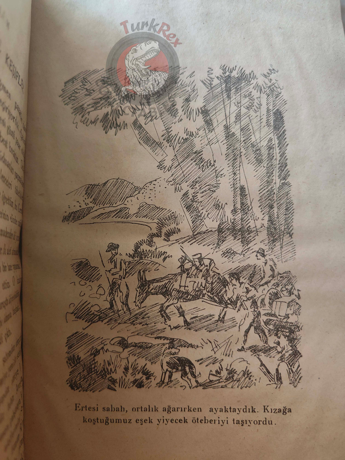 Johann David Wyss – The Swiss Family Robinson 1946 Turkish Book Turkey Illustrated