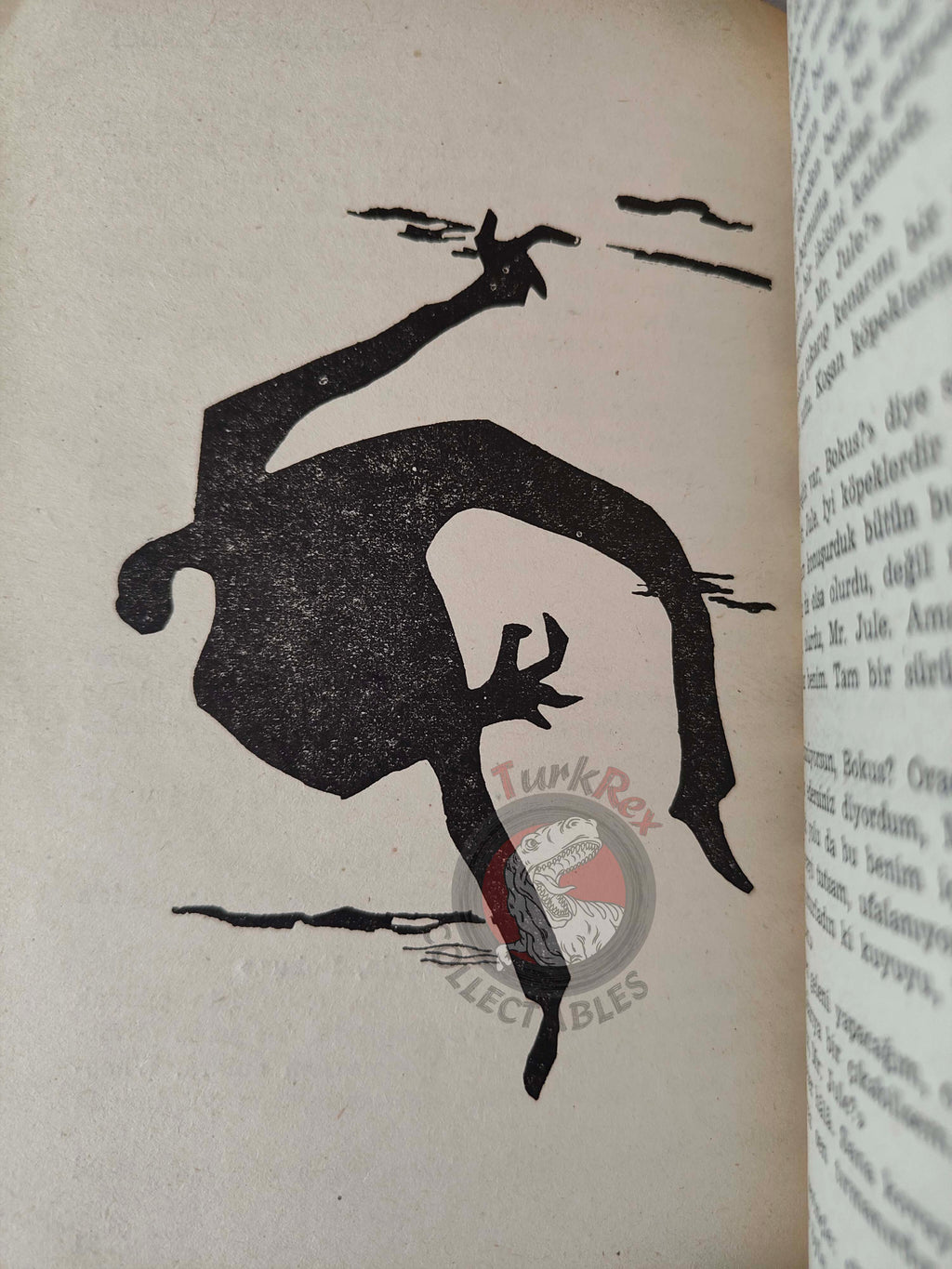 Erskine Caldwell – The Negro in the Well 1953 Illustrated 1st Turkish Book Turkey