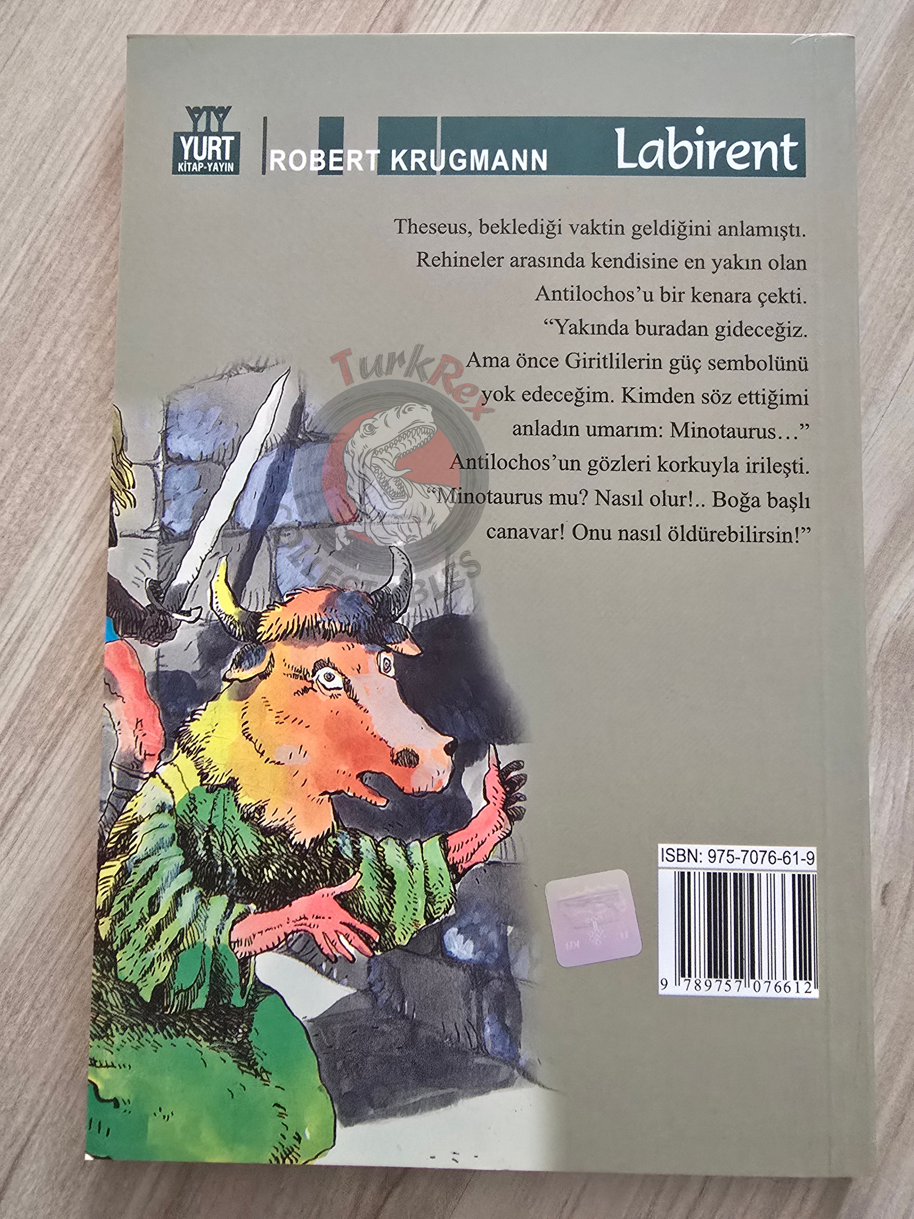 Labyrinth – Robert Krugmann 2003 Turkish Book Turkey Illustrated by Turkish Artist