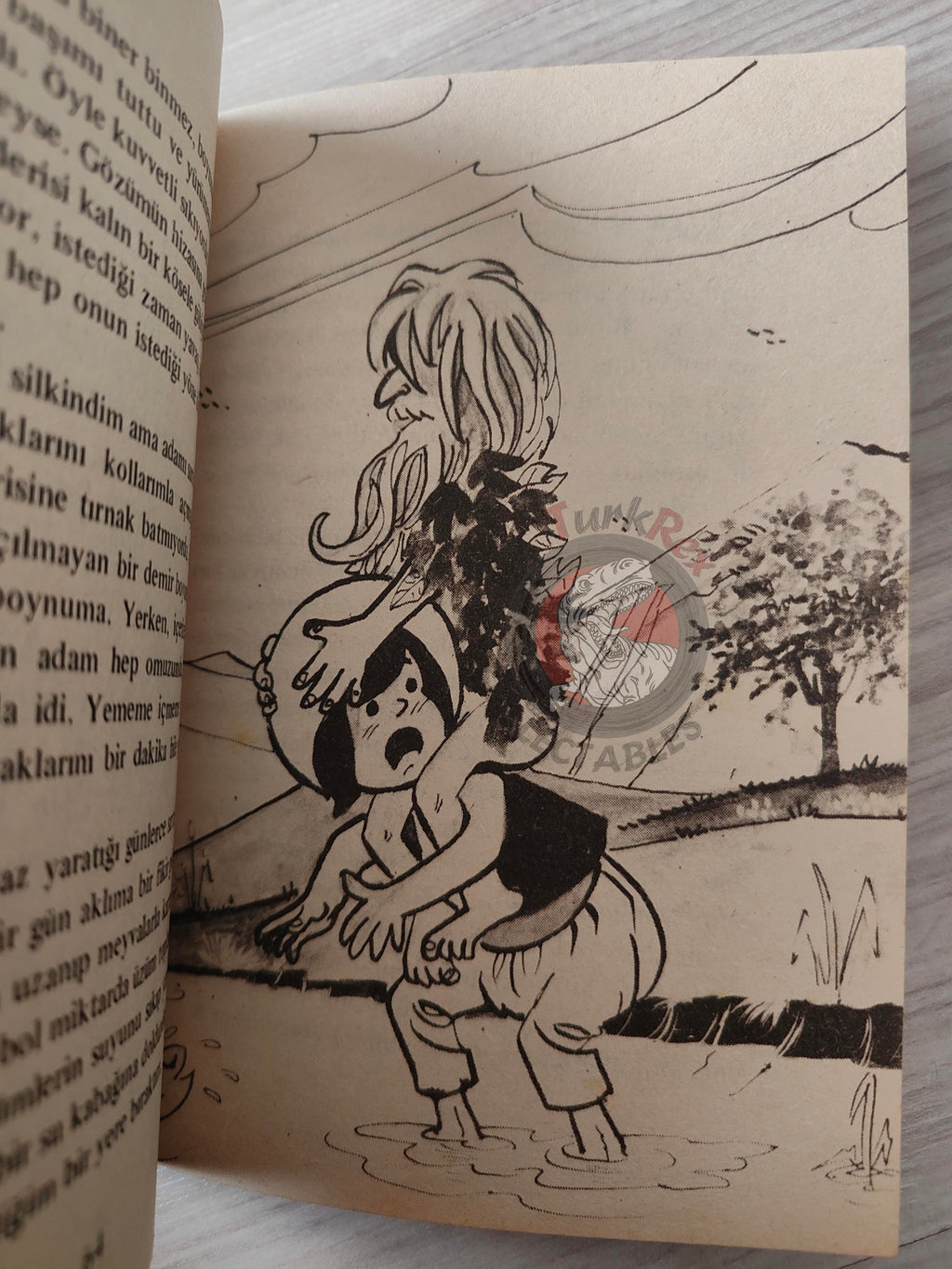Sinbad the Sailor 1978 Turkish Book Turkey 1001 Nights Illustrated