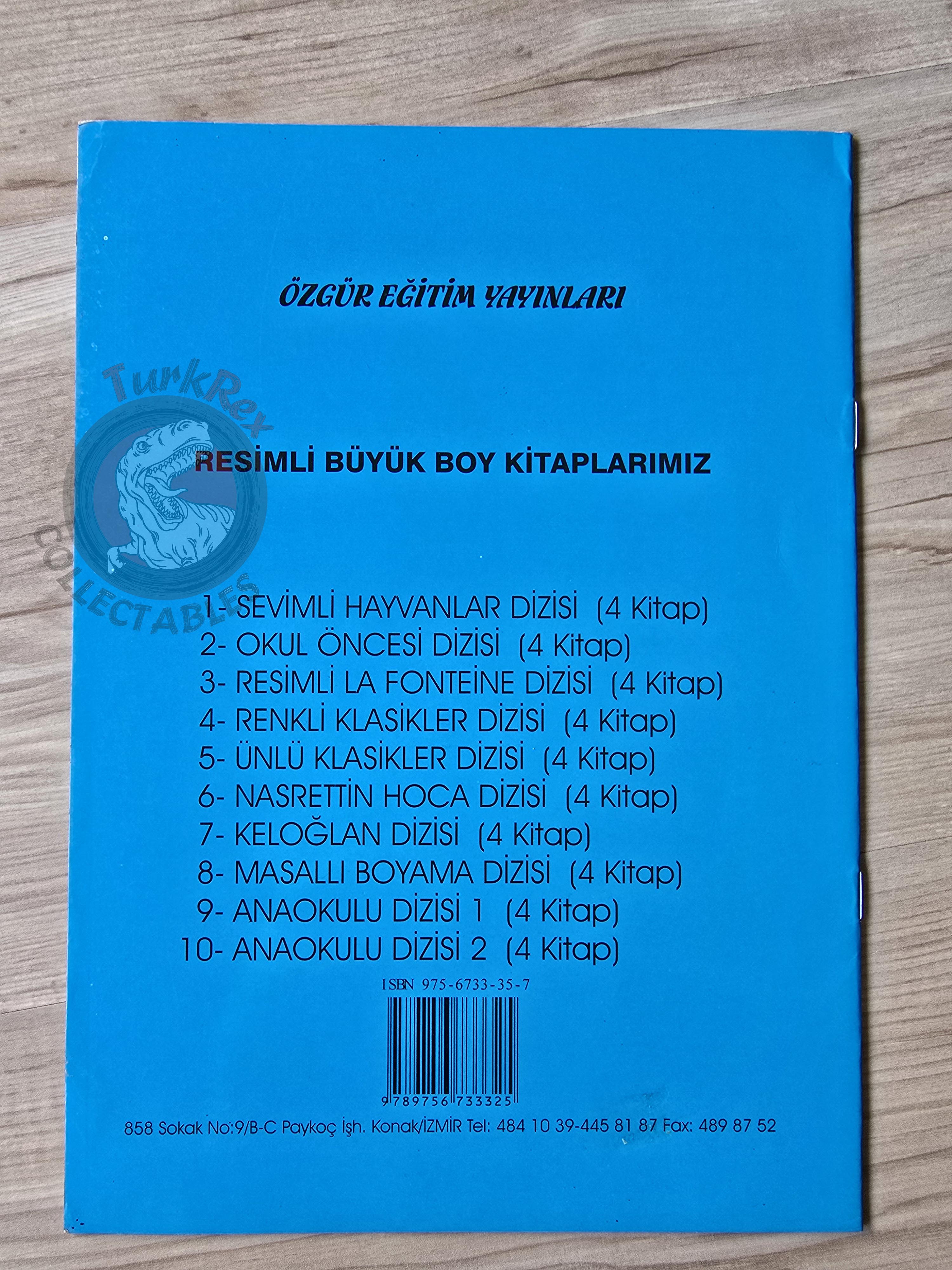 Lewis Carroll – Alice in Wonderland 2000s Turkish Book Turkey Illustrated 1