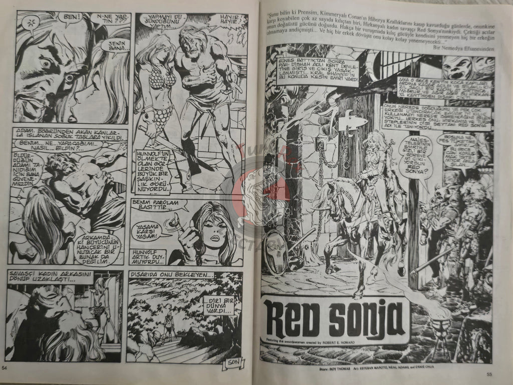 Red Sonja #1 2000 Turkish Comic Turkey Cover #1 Conan the Barbarian #24 #48 Ssoc #78