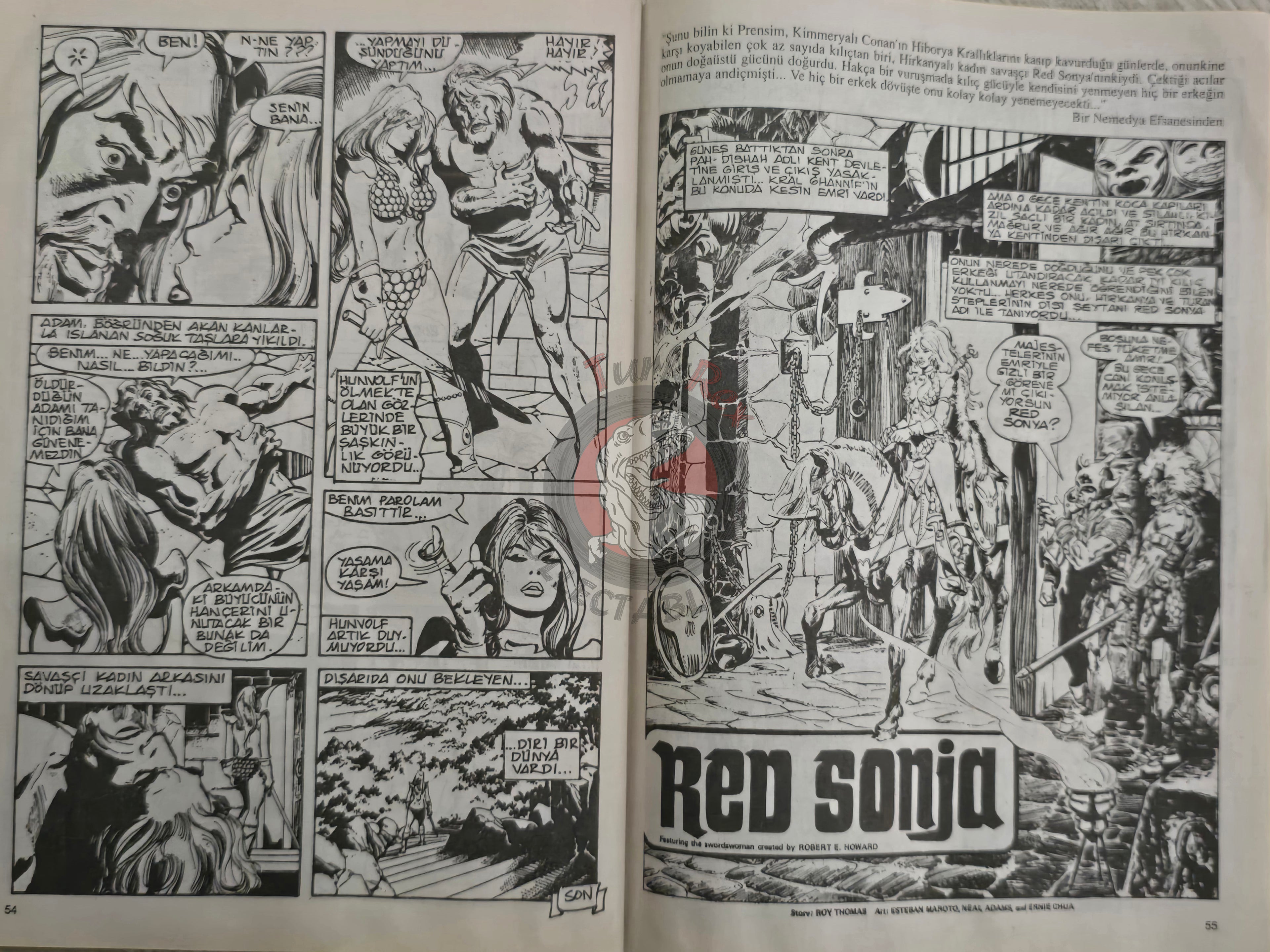 Red Sonja #1 2000 Turkish Comic Turkey Cover #1 Conan the Barbarian #24 #48 Ssoc #78