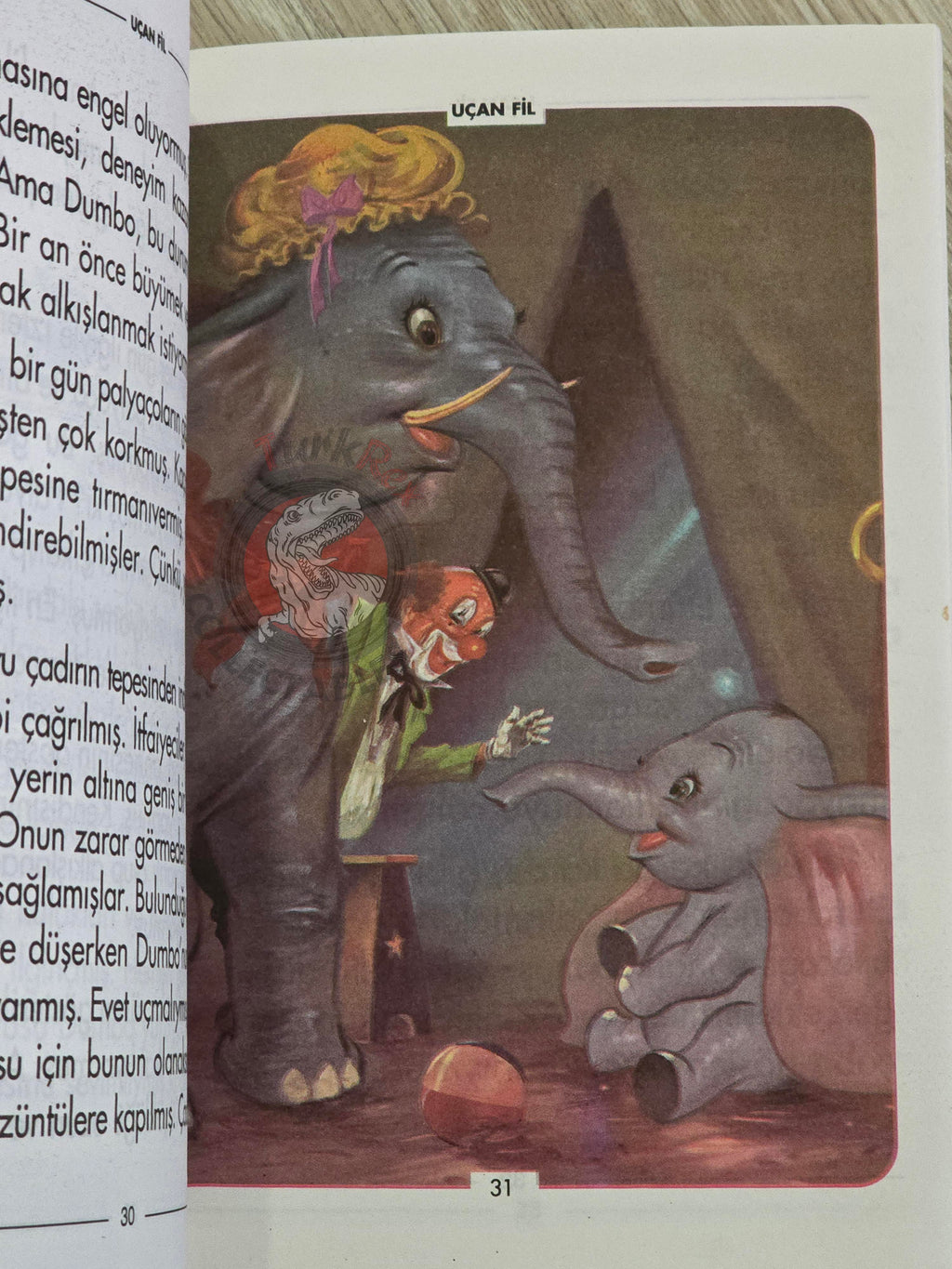 Hans Christian Andersen – Thumbelina 2000 Turkish Book Turkey Illustrated Dumbo