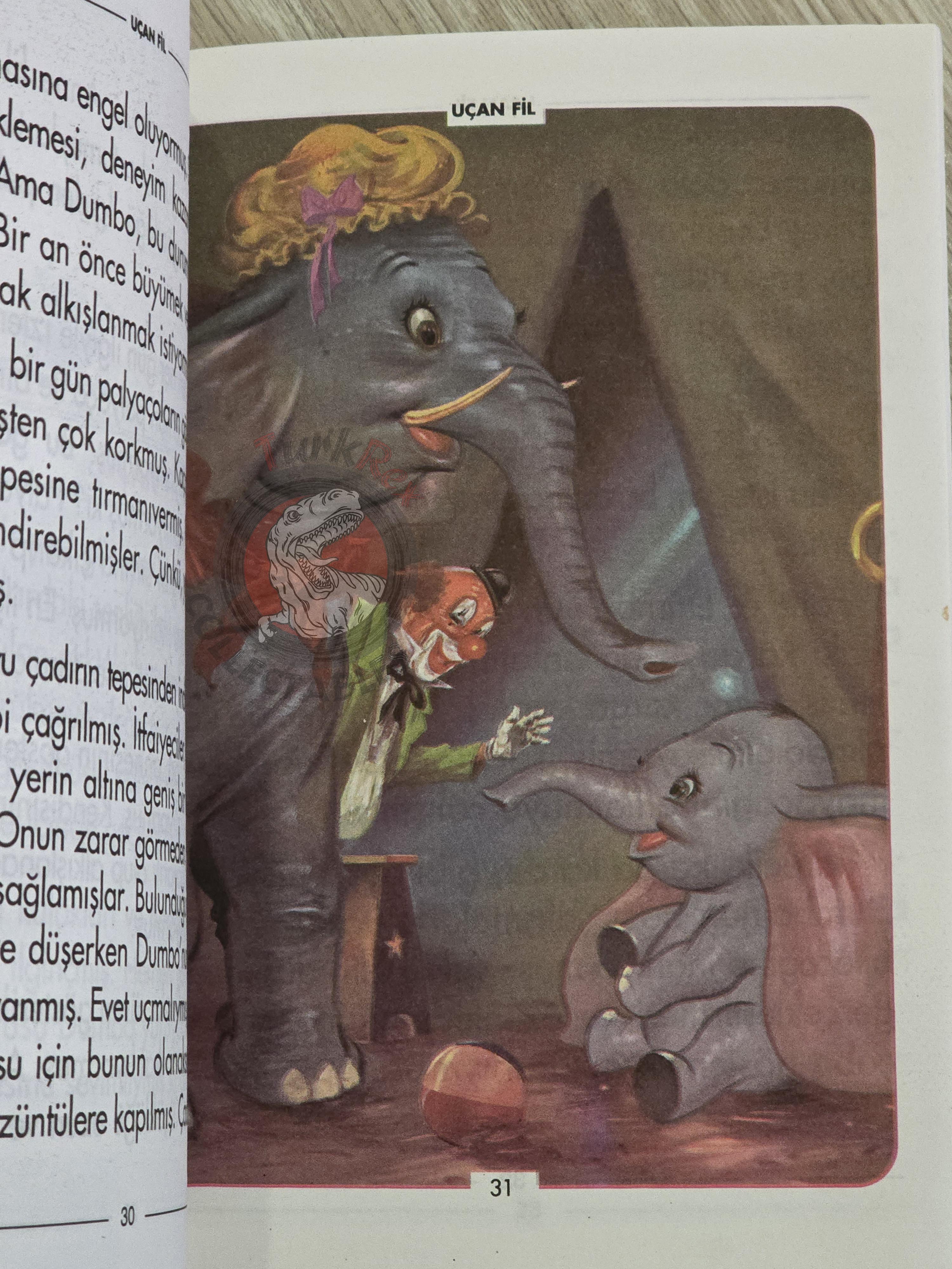 Hans Christian Andersen – Thumbelina 2000 Turkish Book Turkey Illustrated Dumbo
