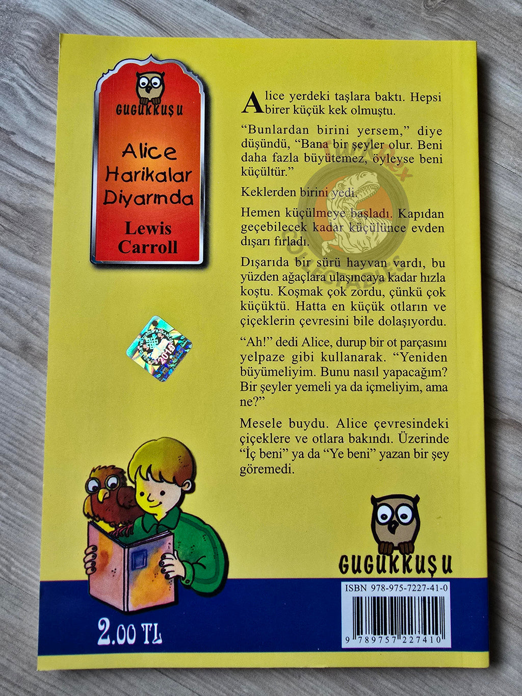 Lewis Carroll – Alice in Wonderland 2011 Turkish Book Turkey Illustrated 3