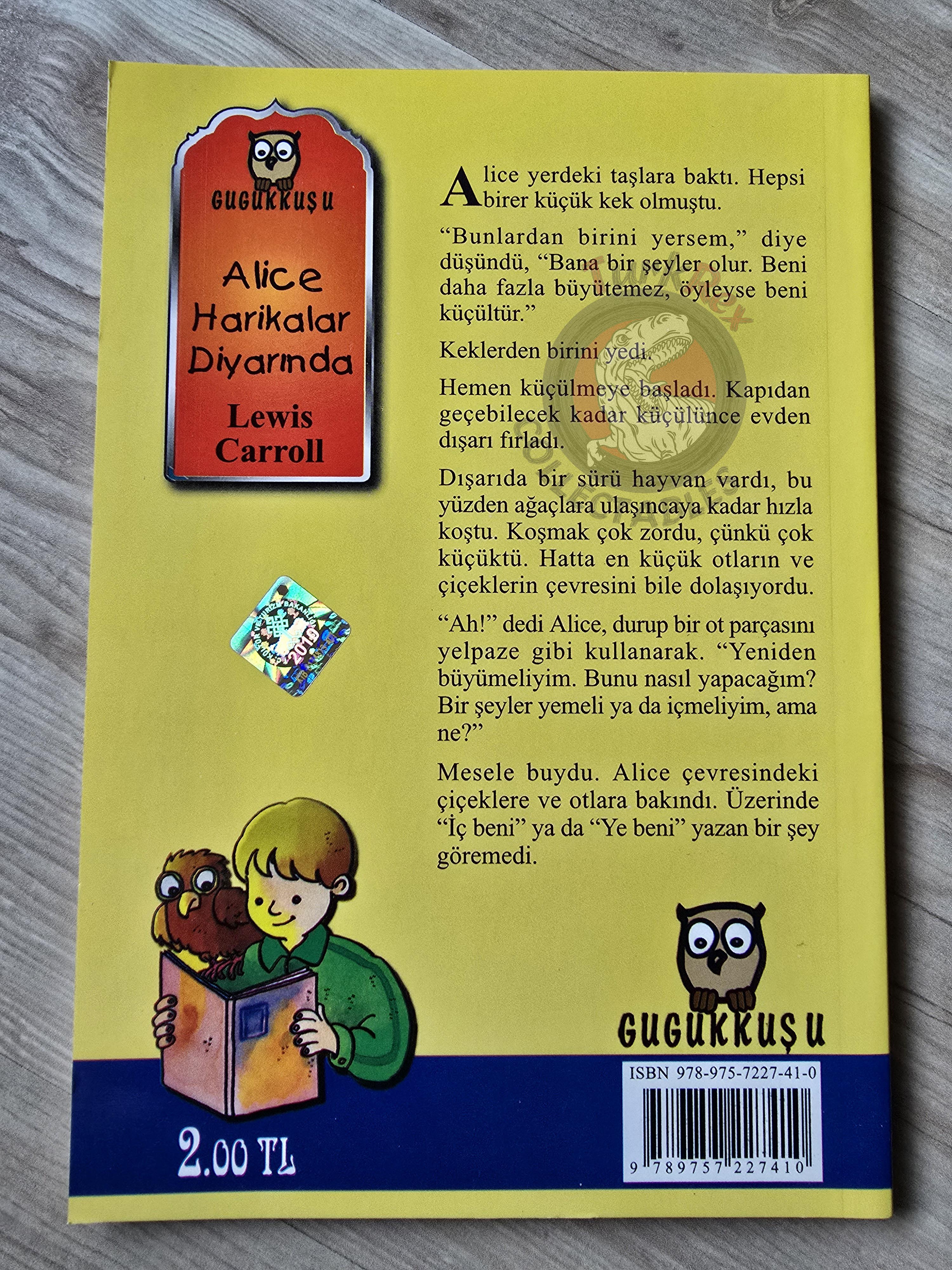 Lewis Carroll – Alice in Wonderland 2011 Turkish Book Turkey Illustrated 3