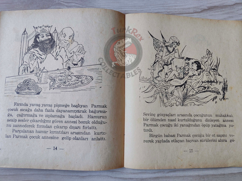 Noah’s Ark Genesis 1960s Turkish Book Turkey Illustrated Thumbelina