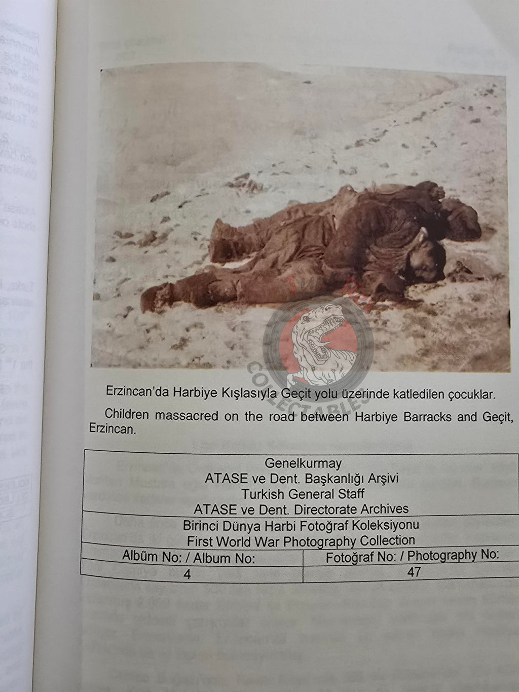 Armenian Activities in the Archive Documents 1914–1918 Turkish Book Turkey Armenia English