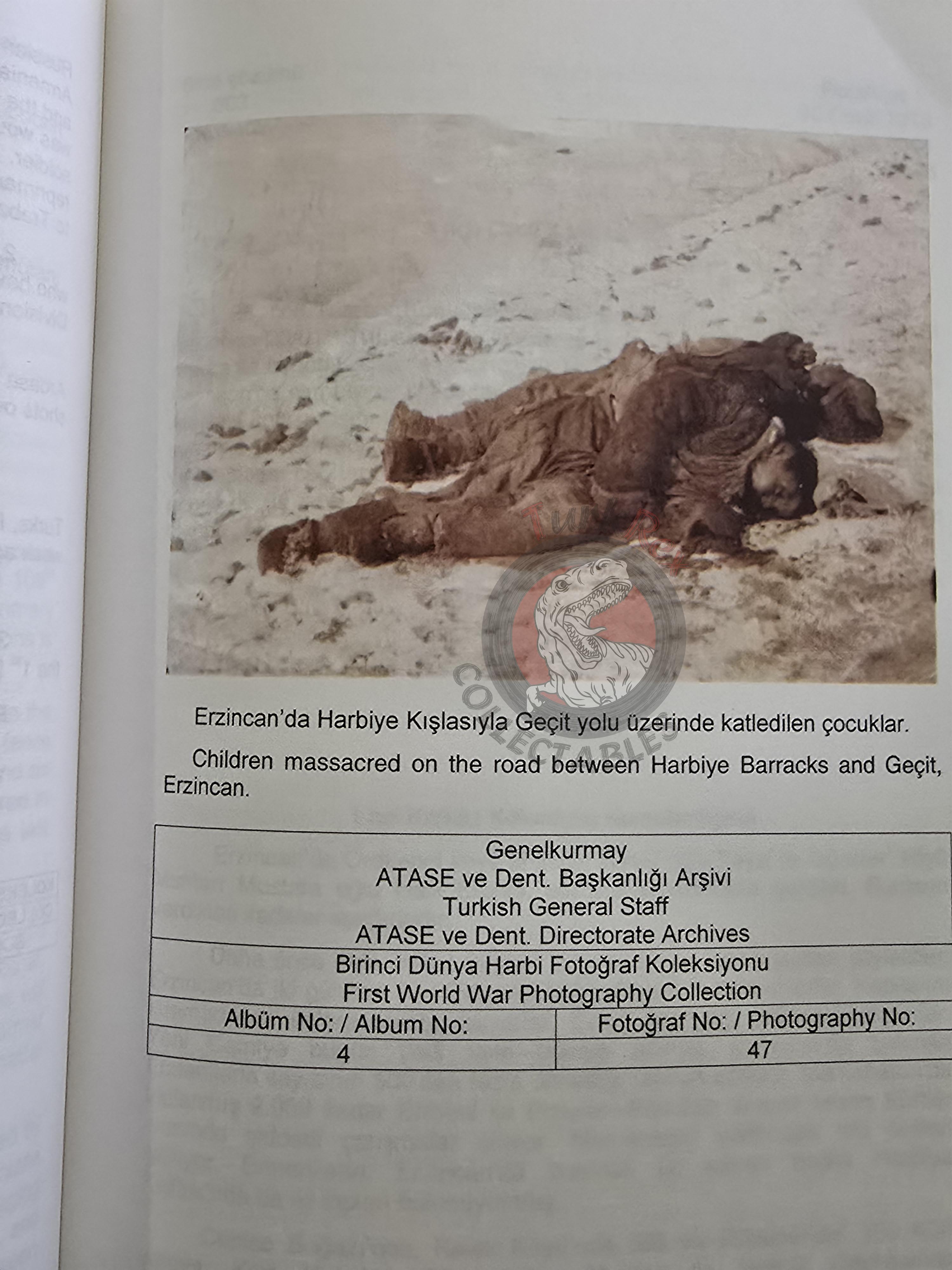Armenian Activities in the Archive Documents 1914–1918 Turkish Book Turkey Armenia English