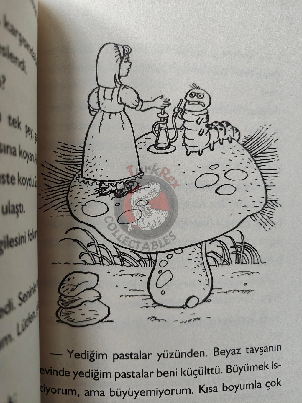 Lewis Carroll – Alice in Wonderland 2013 Turkish Book Turkey Illustrated