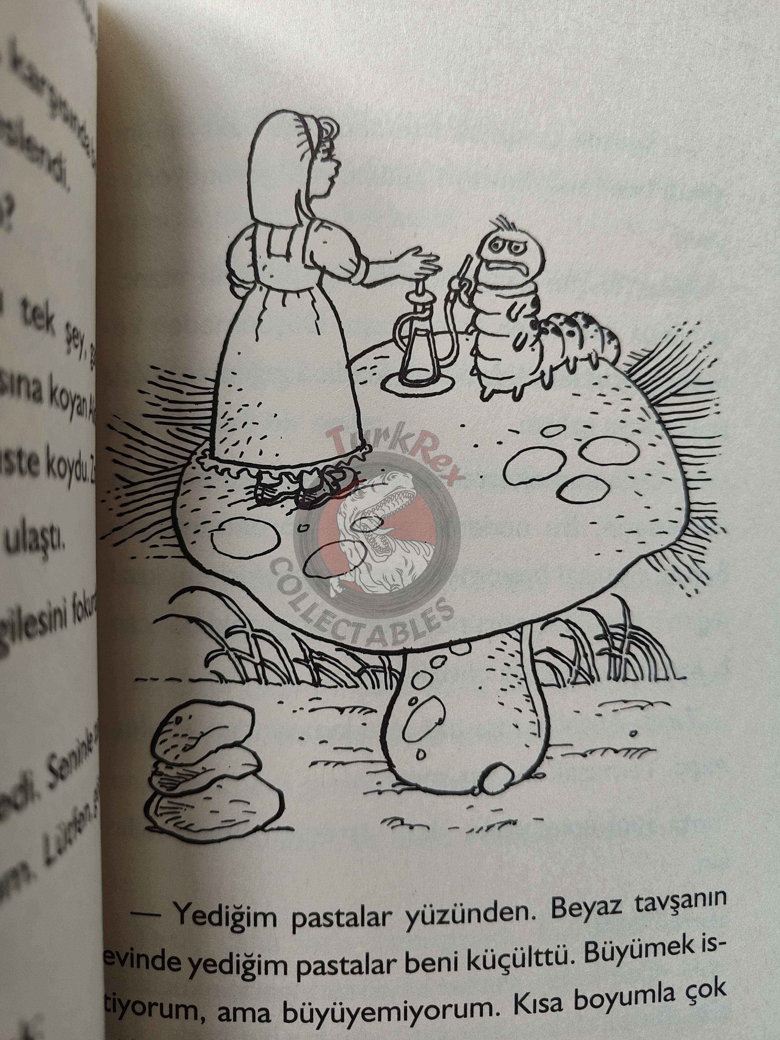 Lewis Carroll – Alice in Wonderland 2013 Turkish Book Turkey Illustrated