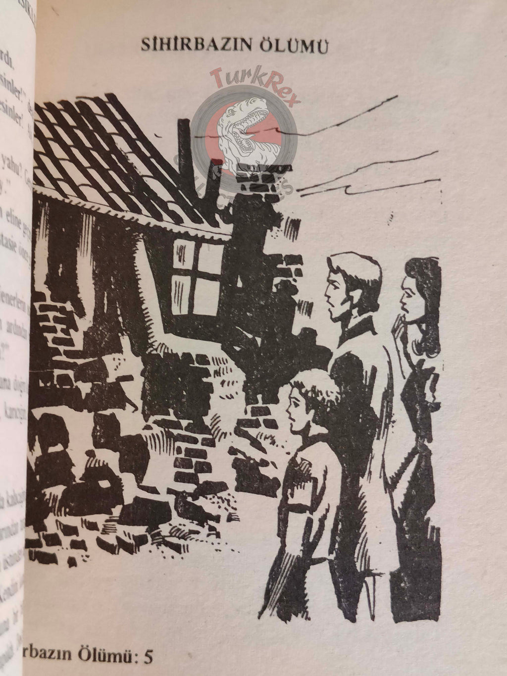 Robert Louis Stevenson – The Treasure of Franchard 1970s Turkish Book Turkey Illustrated