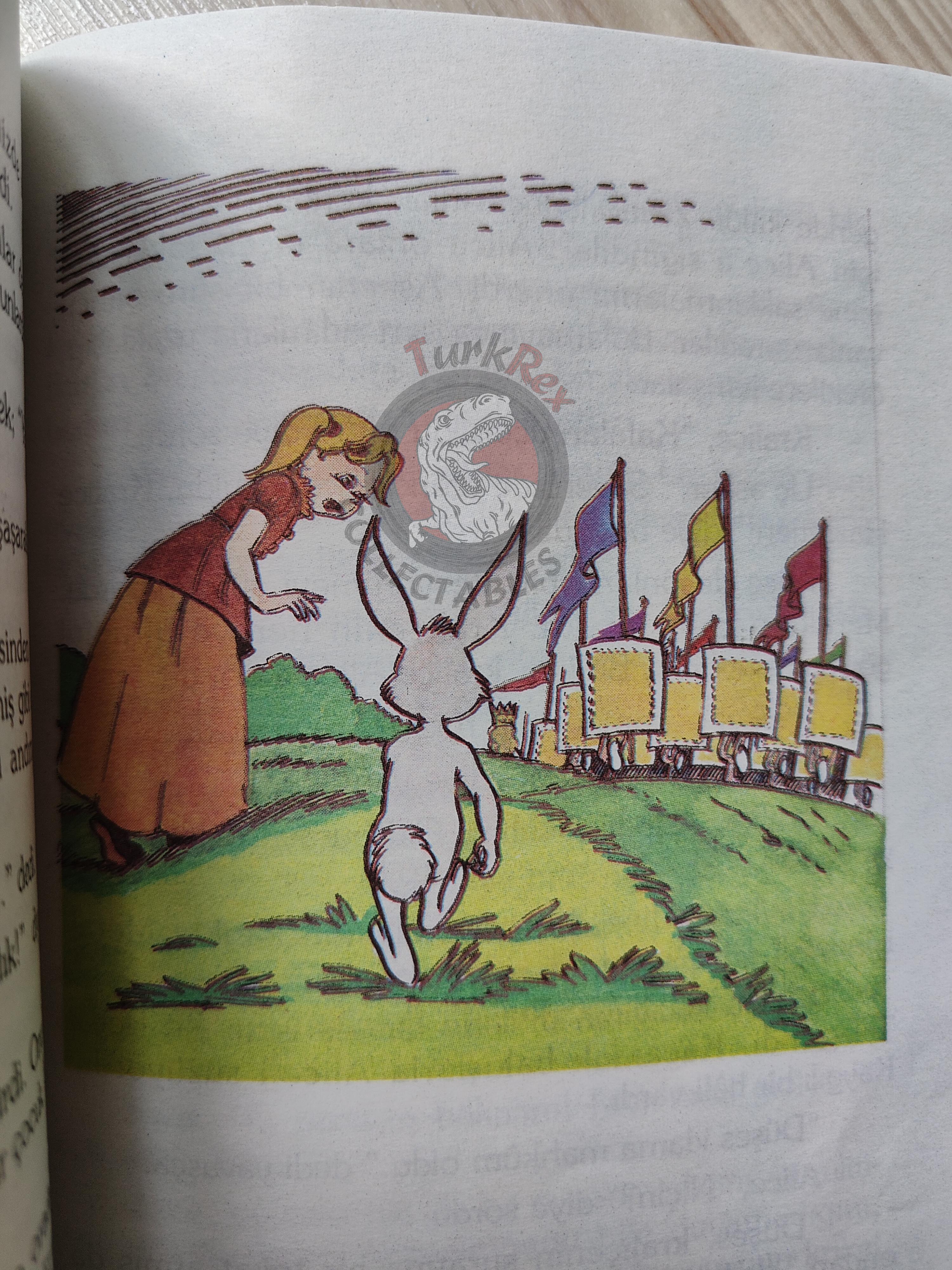 Lewis Carroll – Alice in Wonderland 1996 Turkish Book Turkey Illustrated