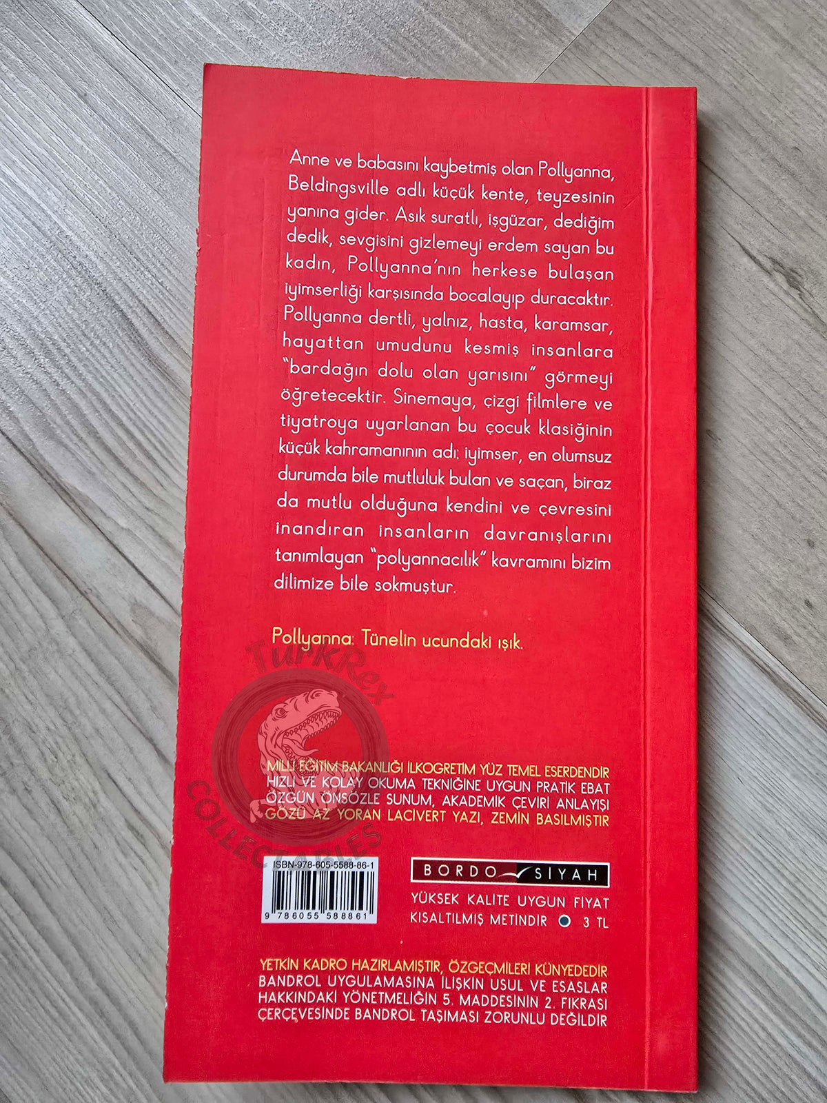 Eleanor H. Porter – Pollyanna 2010 Turkish Book Turkey Illustrated