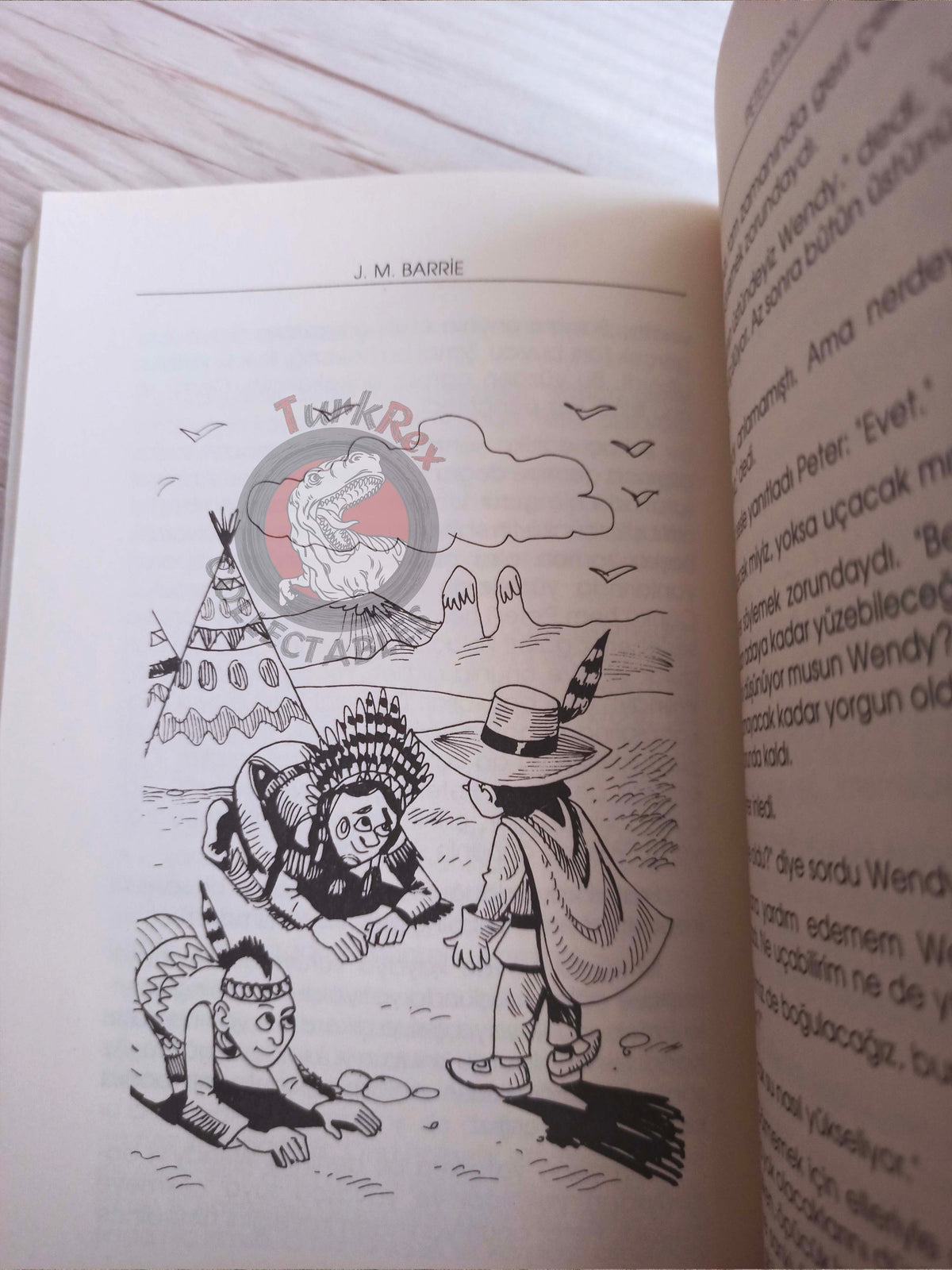 J. M. Barrie – Peter Pan 2005 Turkish Book Turkey Illustrated 3