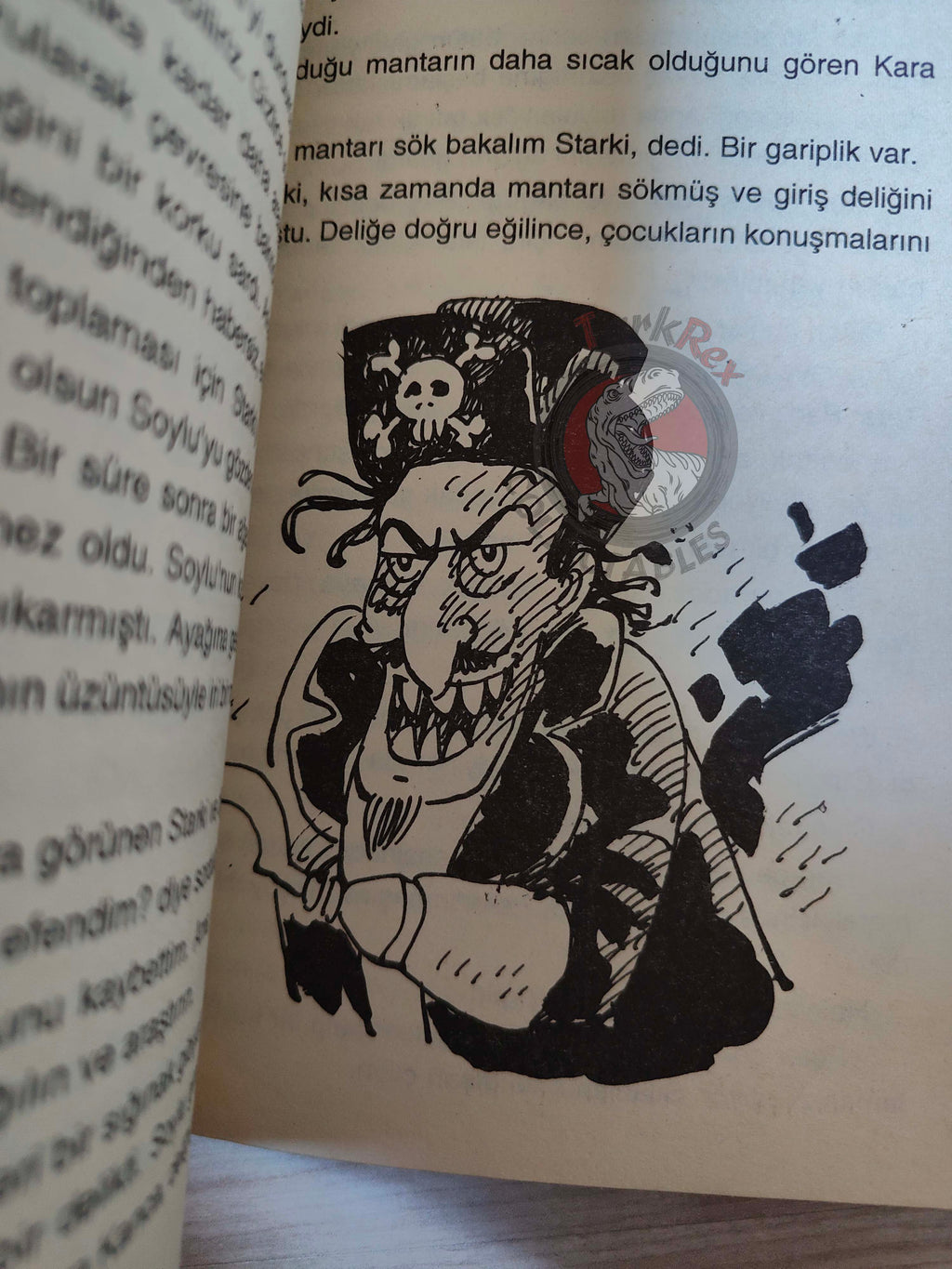J. M. Barrie – Peter Pan 2001 Turkish Book Turkey Illustrated