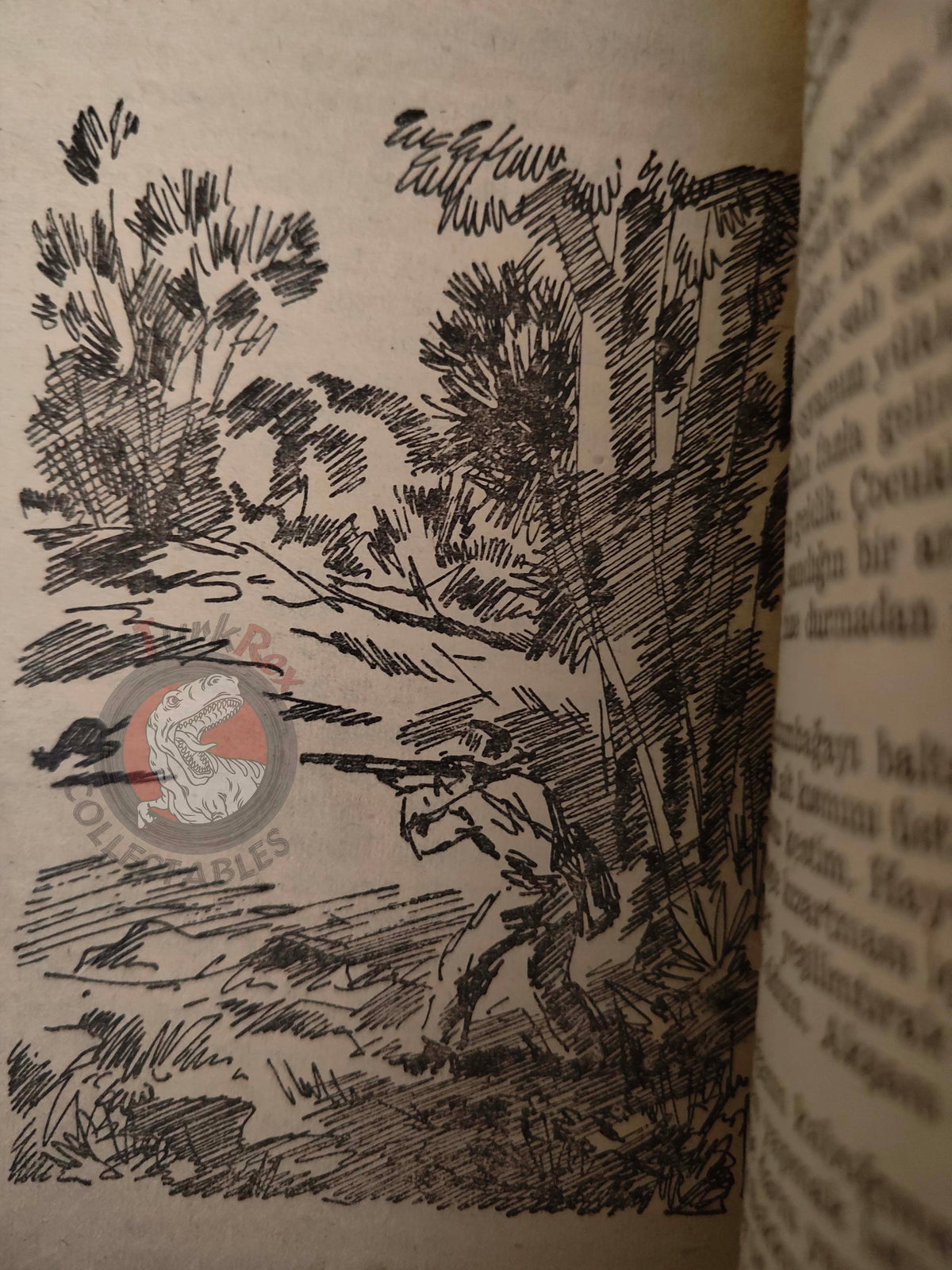 Johann David Wyss – The Swiss Family Robinson 1957 Turkish Book Turkey Illustrated