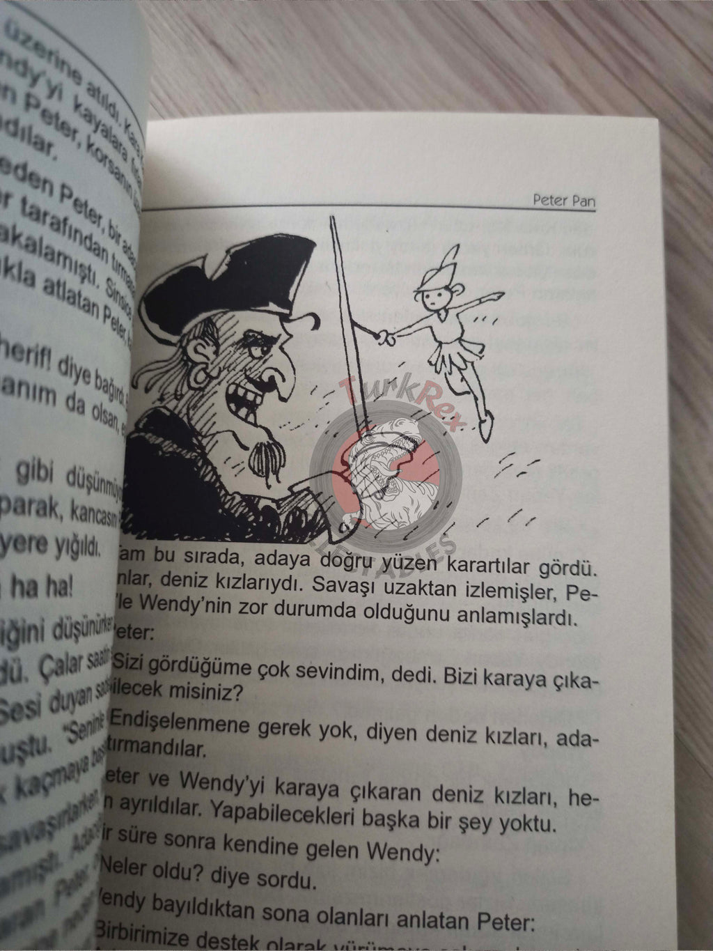 J. M. Barrie – Peter Pan 2011 Turkish Book Turkey Illustrated 2