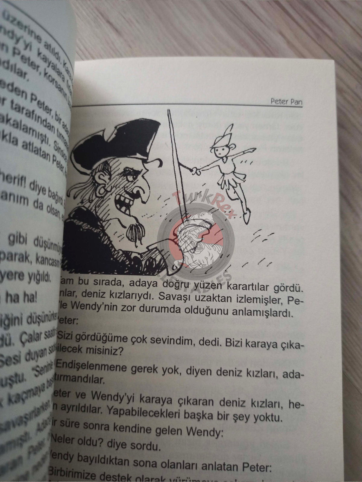 J. M. Barrie – Peter Pan 2011 Turkish Book Turkey Illustrated 2