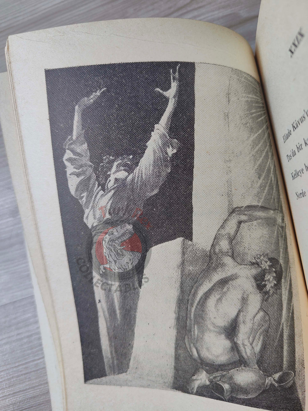 Rubaiyat of Omar Khayyam 1955 Illustrated Turkish Book Turkey