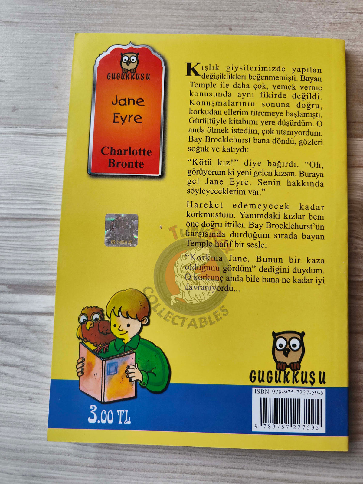 Charlotte Brontë – Jane Eyre 2011 Turkish Book Turkey Illustrated
