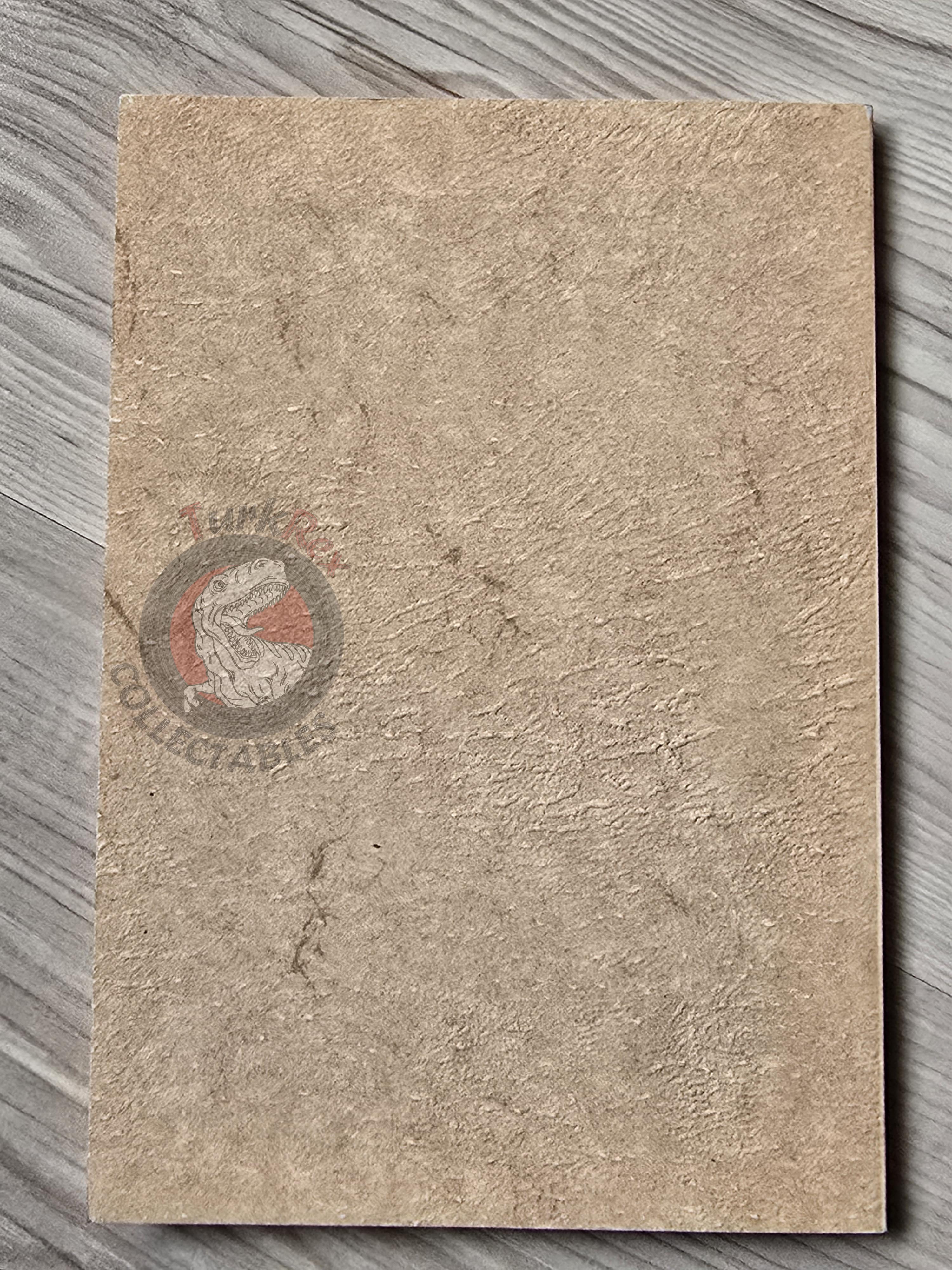 Turkish Freemasonry Başkent Lodge Panel 1996 Booklet Masonic Masons of Turkey Signed