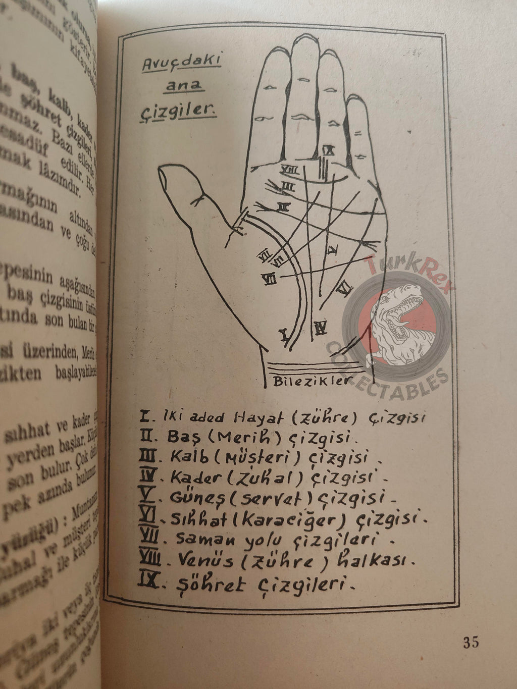 Palm Reading Palmistry Hand Reading 1961 Turkish Book Turkey