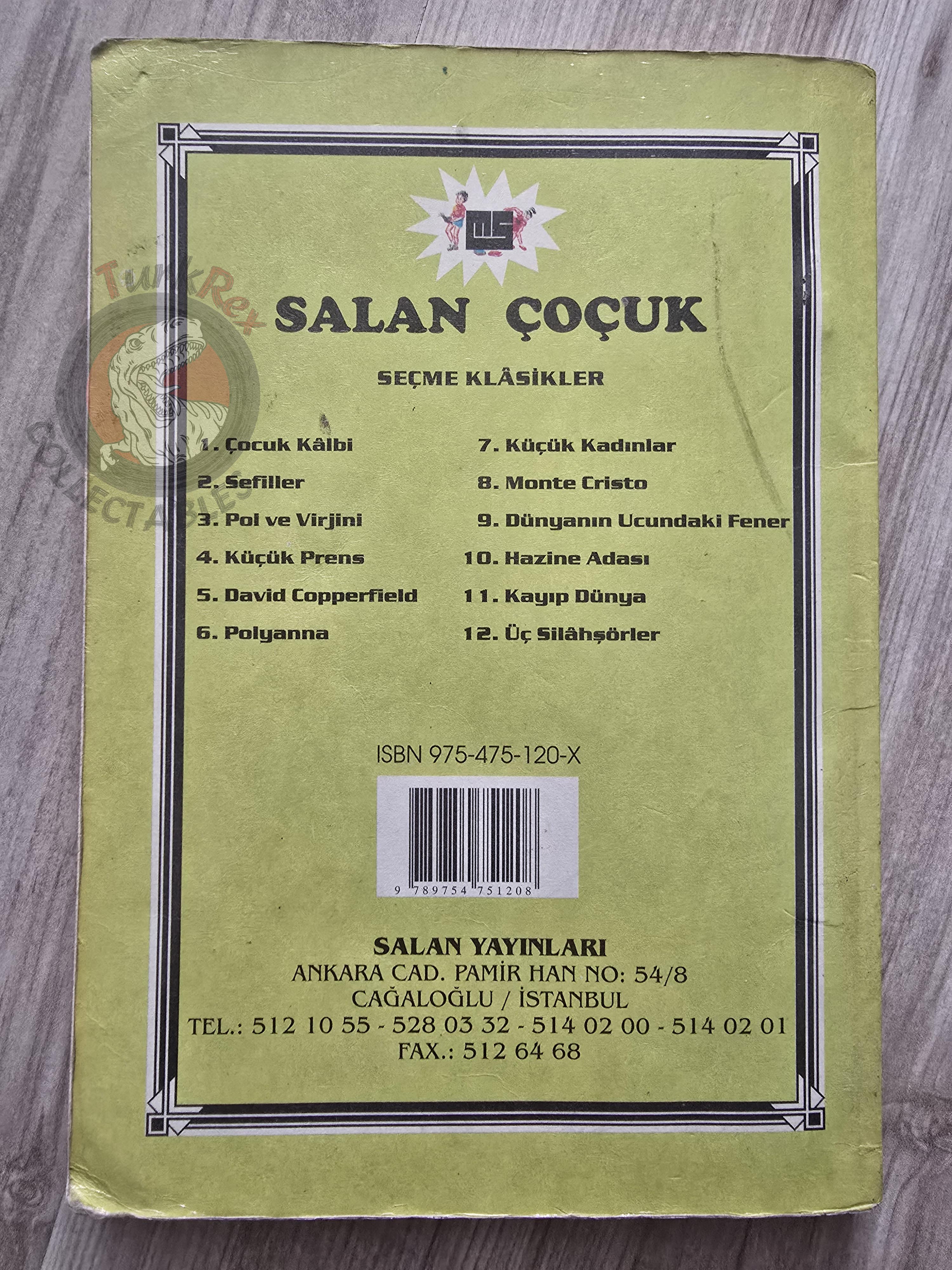 Bernardin de Saint-Pierre – Paul et Virginie 1990s Turkish Book Turkey Illustrated