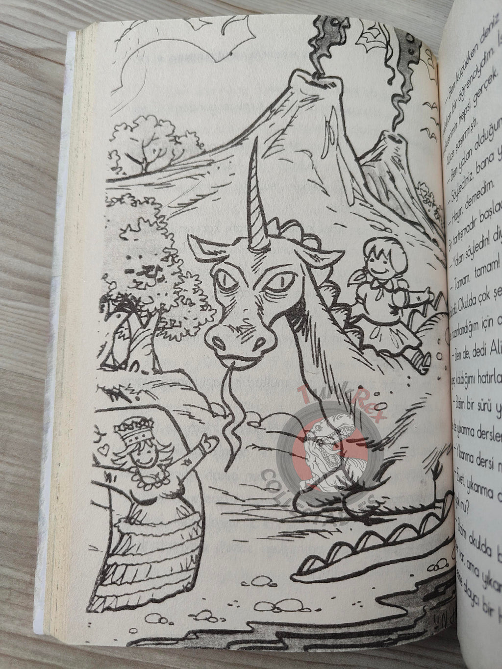 Lewis Carroll – Alice in Wonderland 2010 Turkish Book Turkey Illustrated 1
