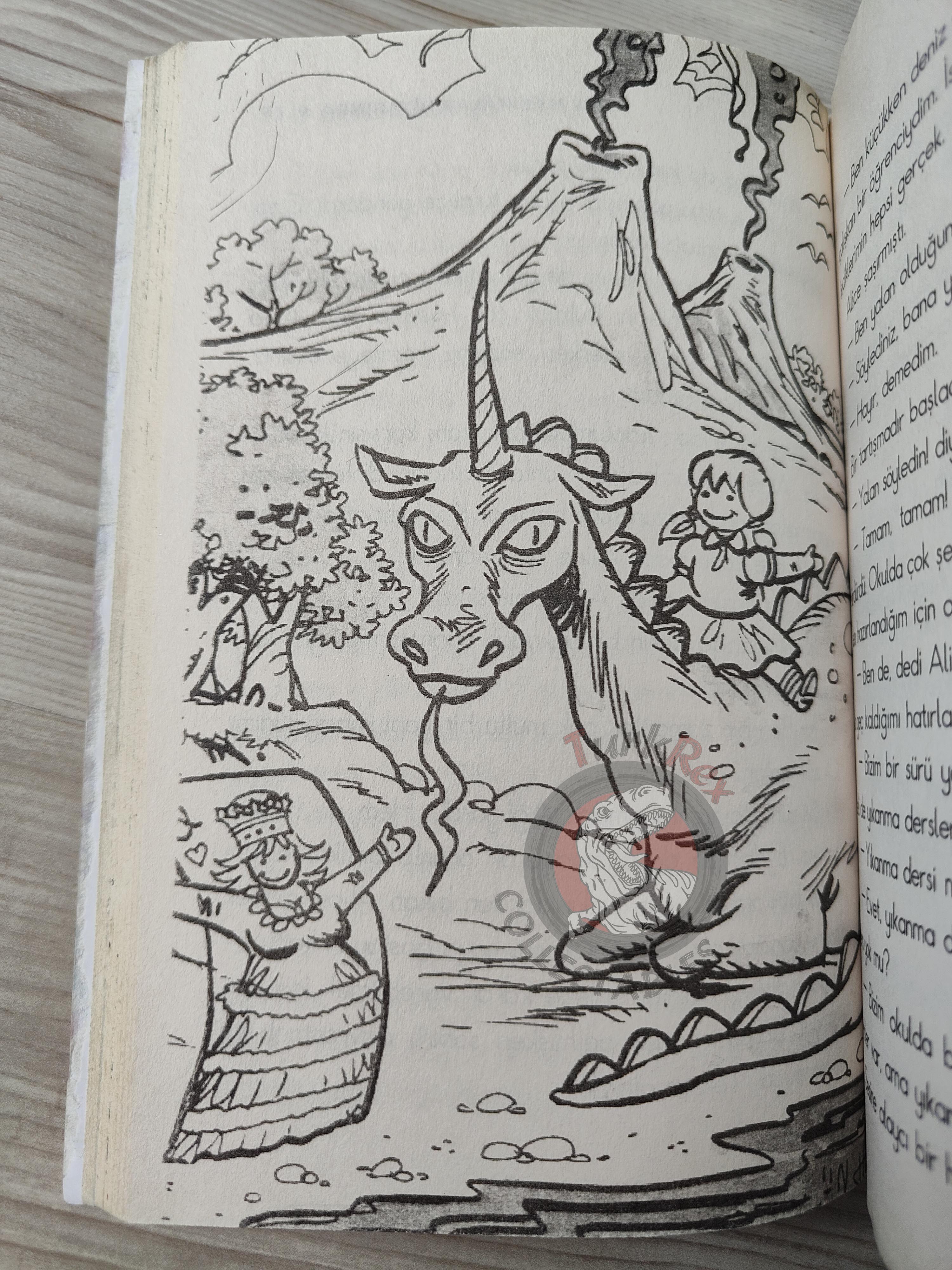 Lewis Carroll – Alice in Wonderland 2010 Turkish Book Turkey Illustrated 1