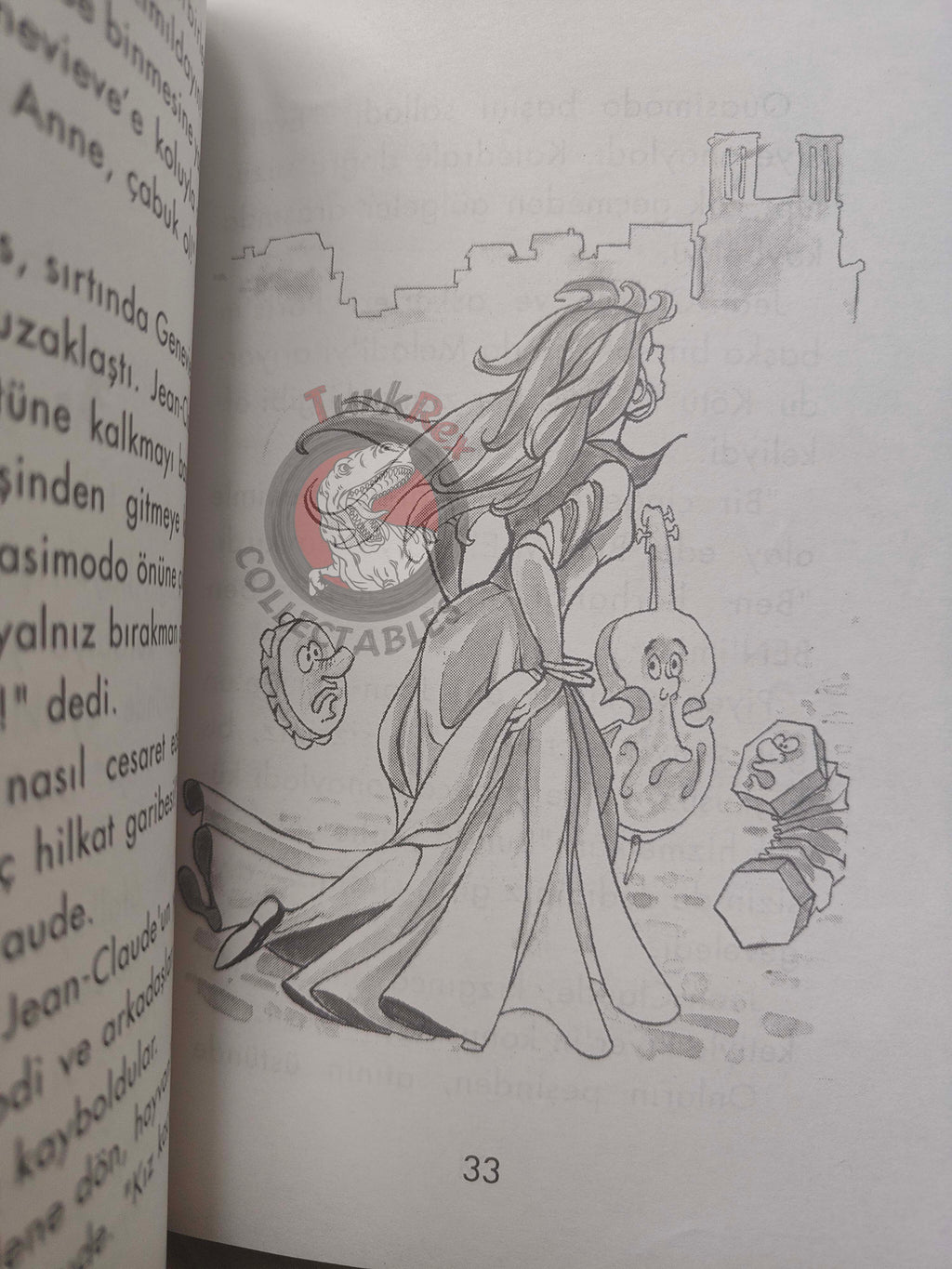 Victor Hugo – The Hunchback of Notre-Dame 2011 Illustrated Turkish Book Turkey